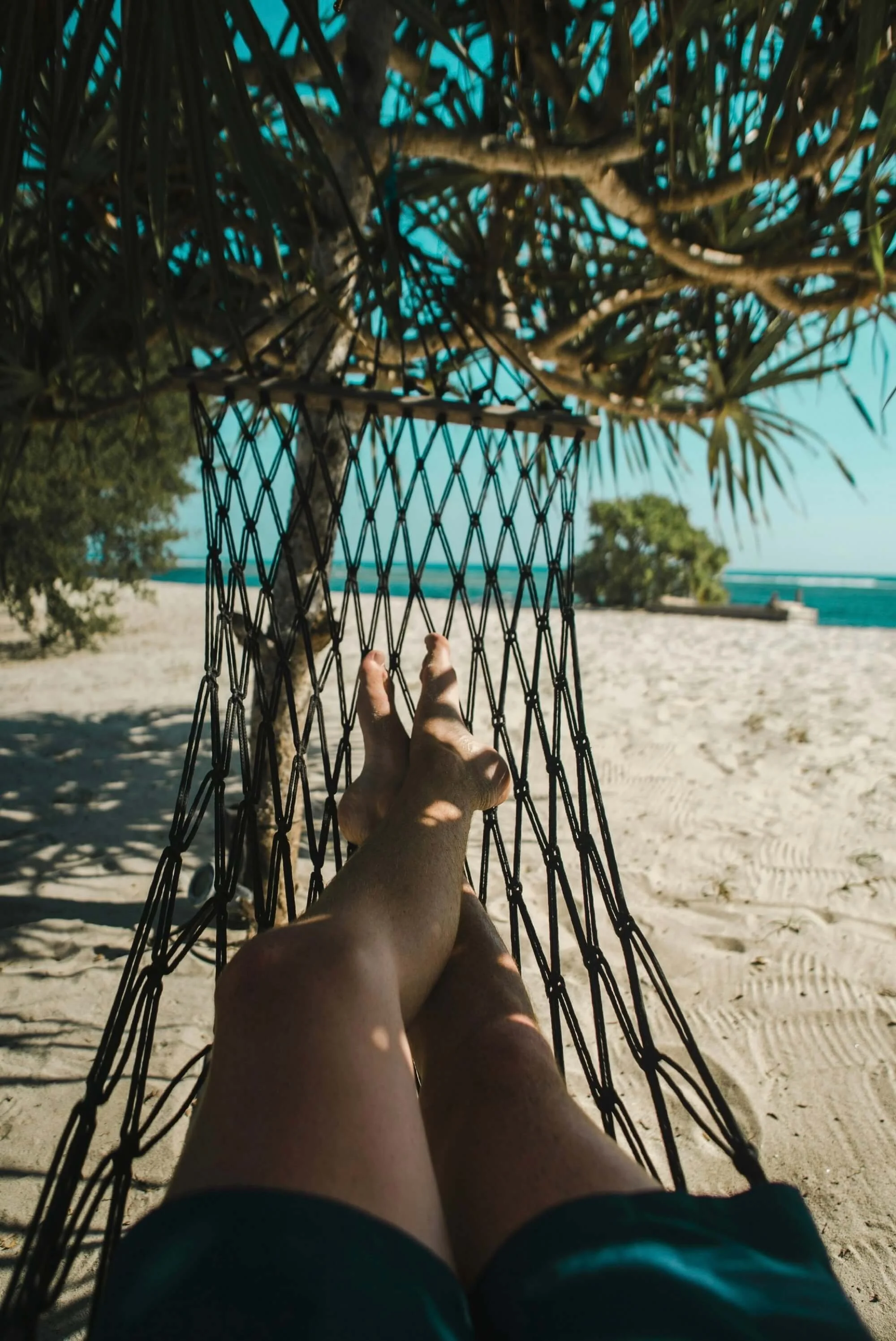 Person relaxing on a hammock under a tree on a sandy beach with the ocean in the background.