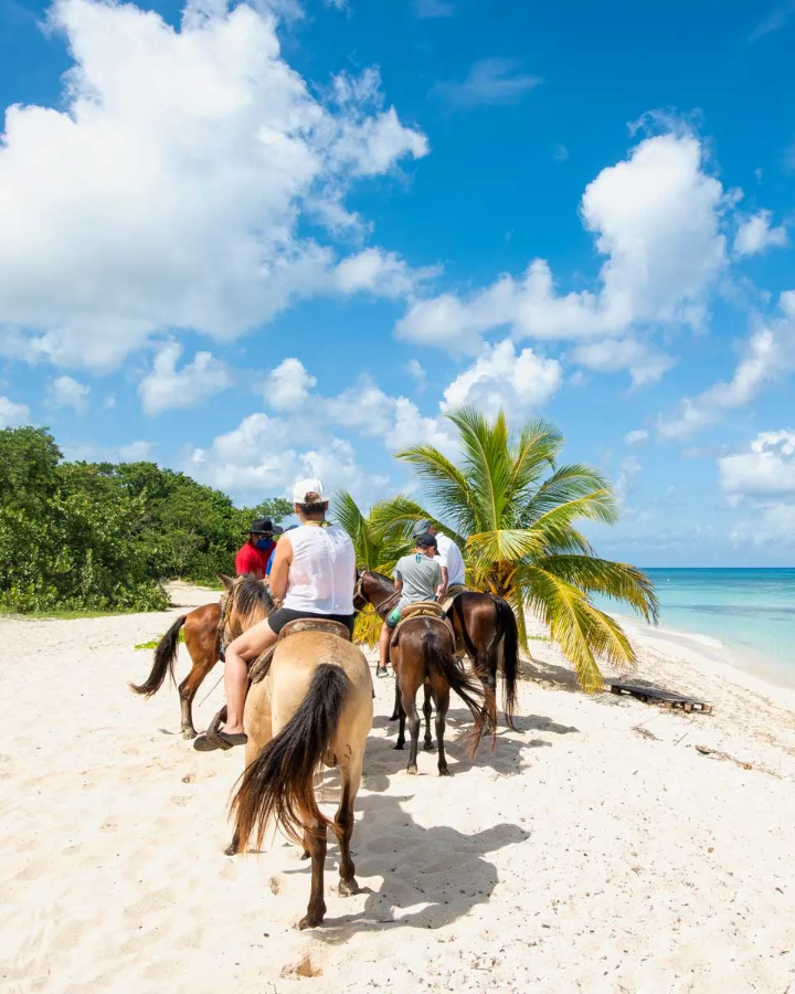 Horseback riding along the beach in St. Lucia