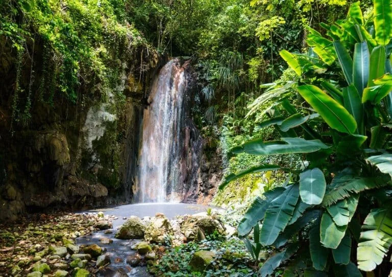 tropical waterfall in St. Lucia’s rainforest