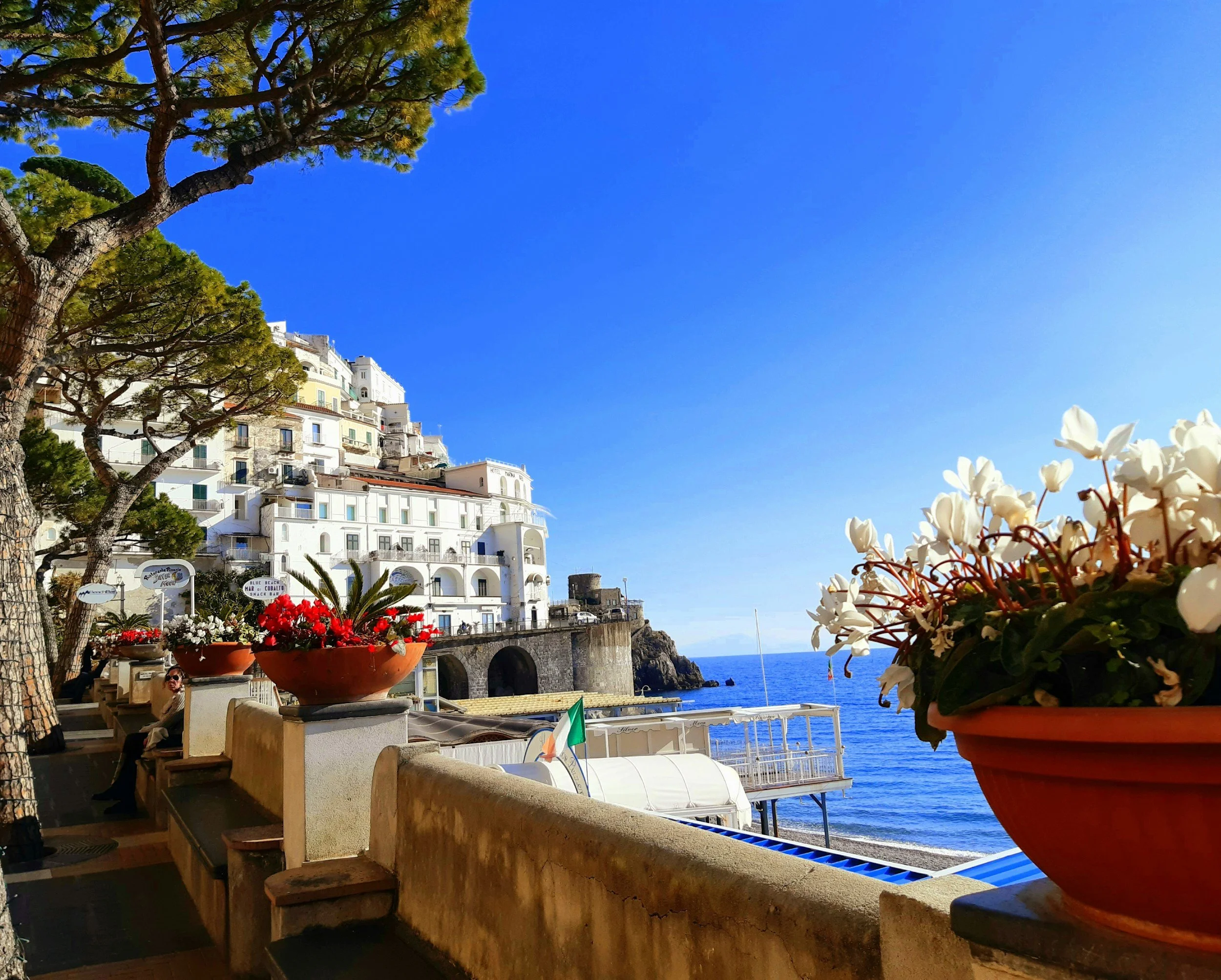 Seaside view of white buildings on a hillside with blue sky, trees, flower pots, and the ocean in the background.