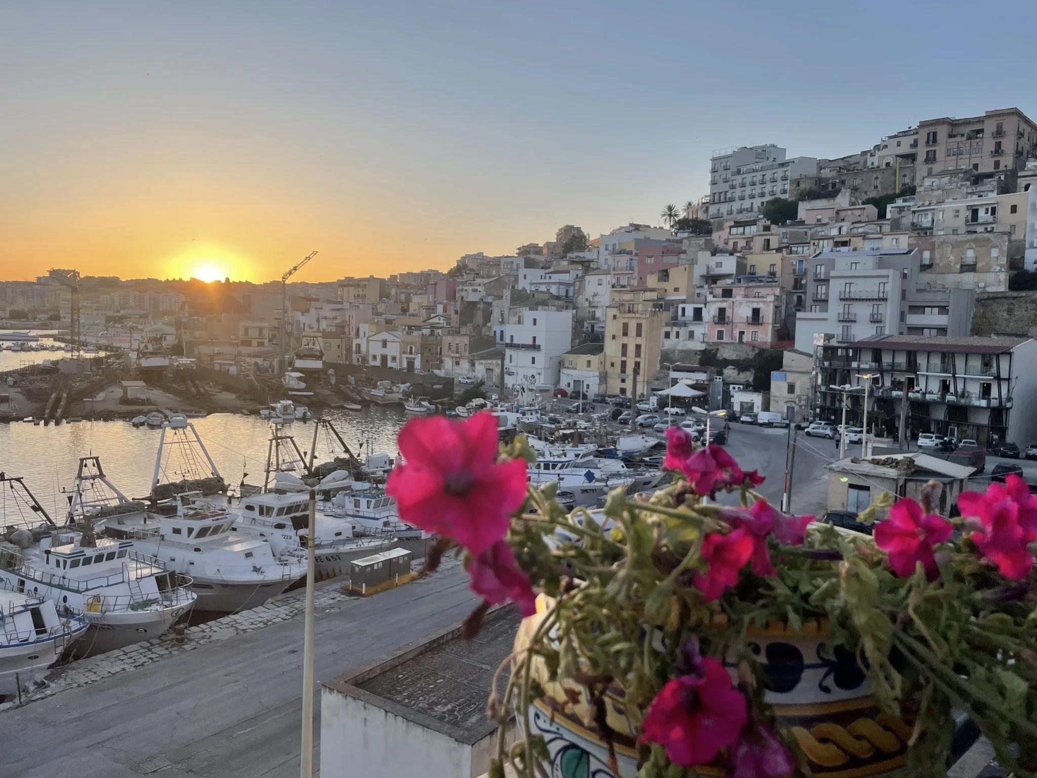Sunset over a Sicilian harbor with fishing boats, hillside buildings, and bright pink flowers in a ceramic planter in the foreground
