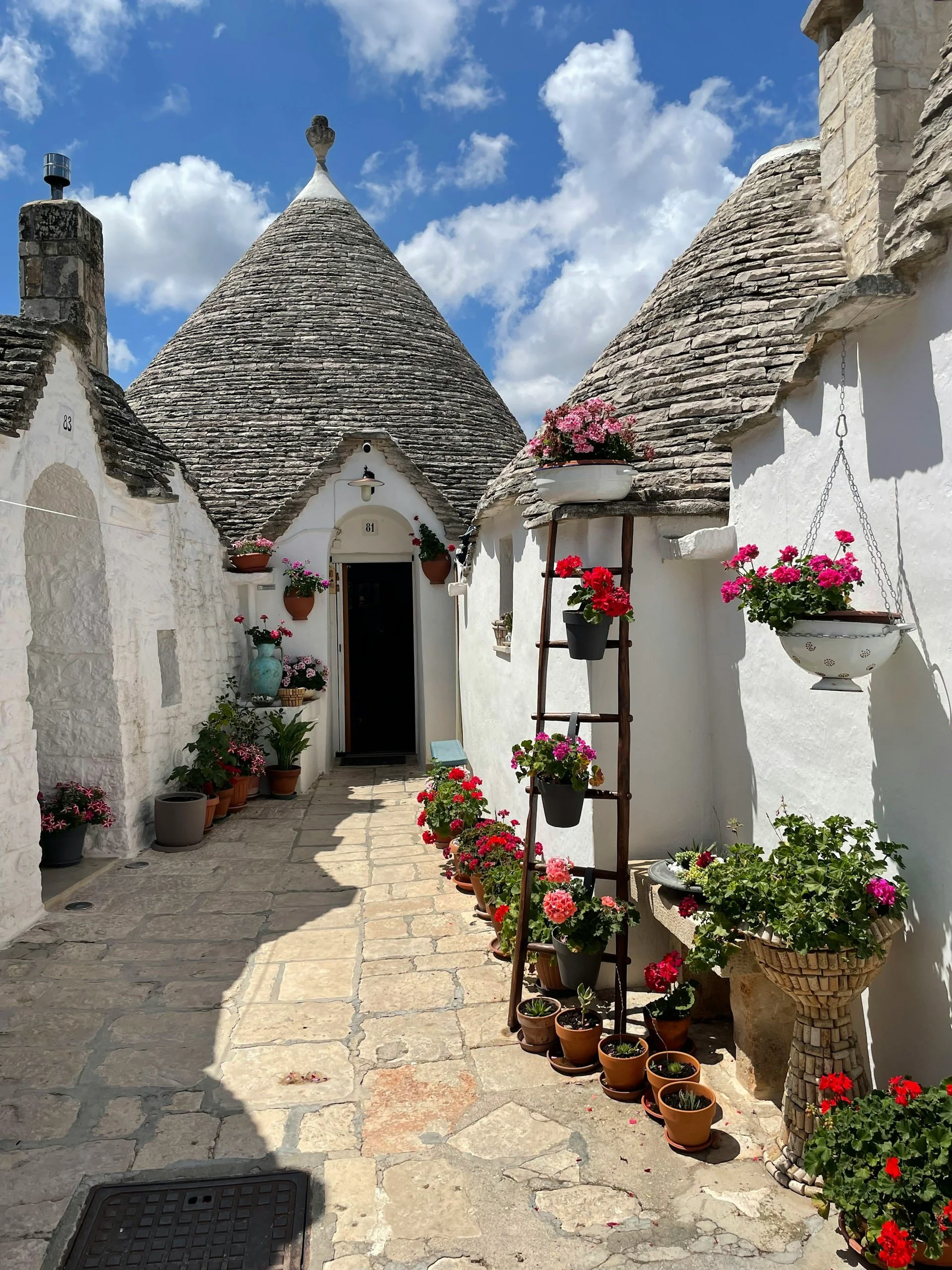 Whitewashed trulli houses with conical stone roofs, colorful flowers, and a sunlit stone walkway in Alberobello, Puglia, Italy.