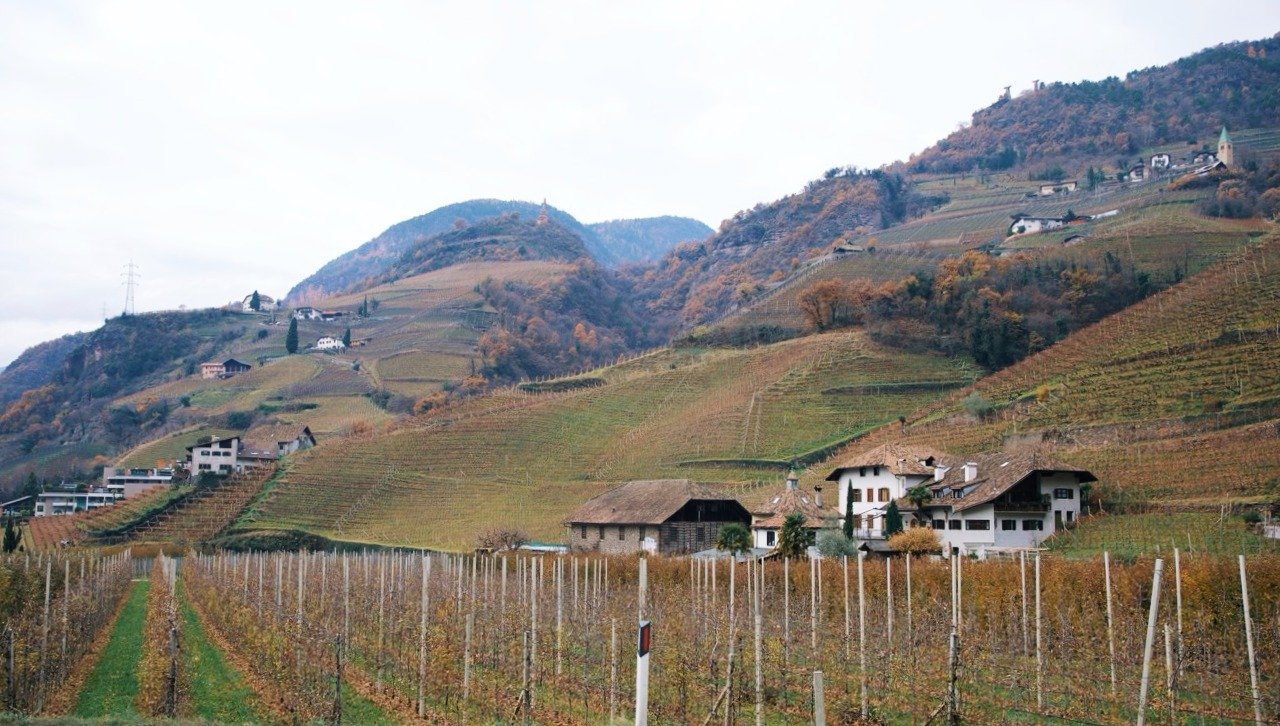 Bolzano Countryside in the fall
