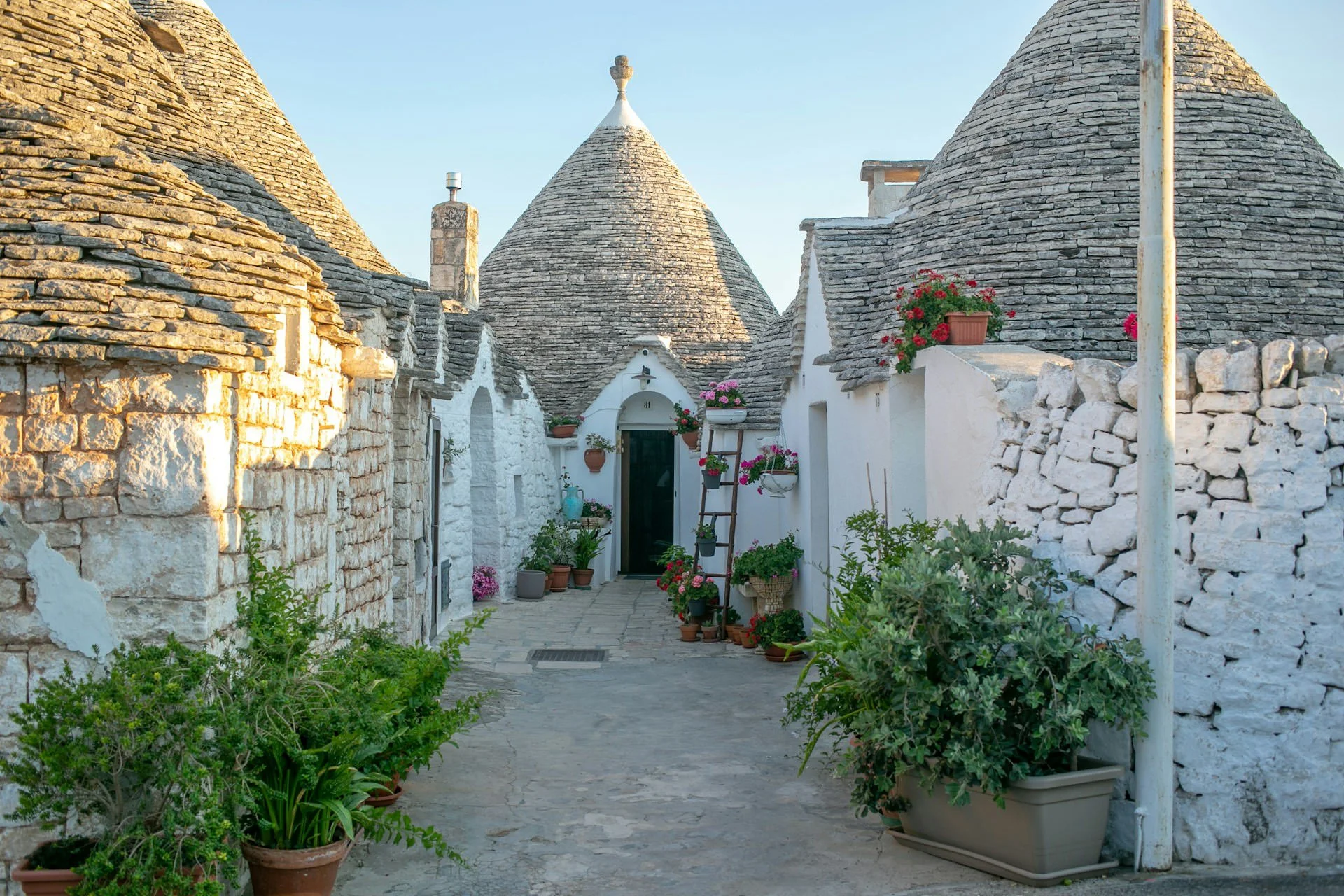 Traditional trulli houses with conical stone roofs, whitewashed walls, and colorful flowers along a narrow lane in Alberobello, Puglia, Italy.