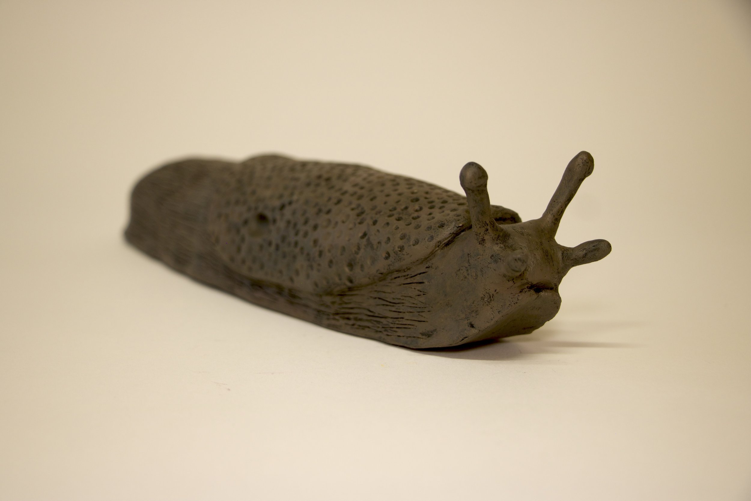 Slug 1.jpg