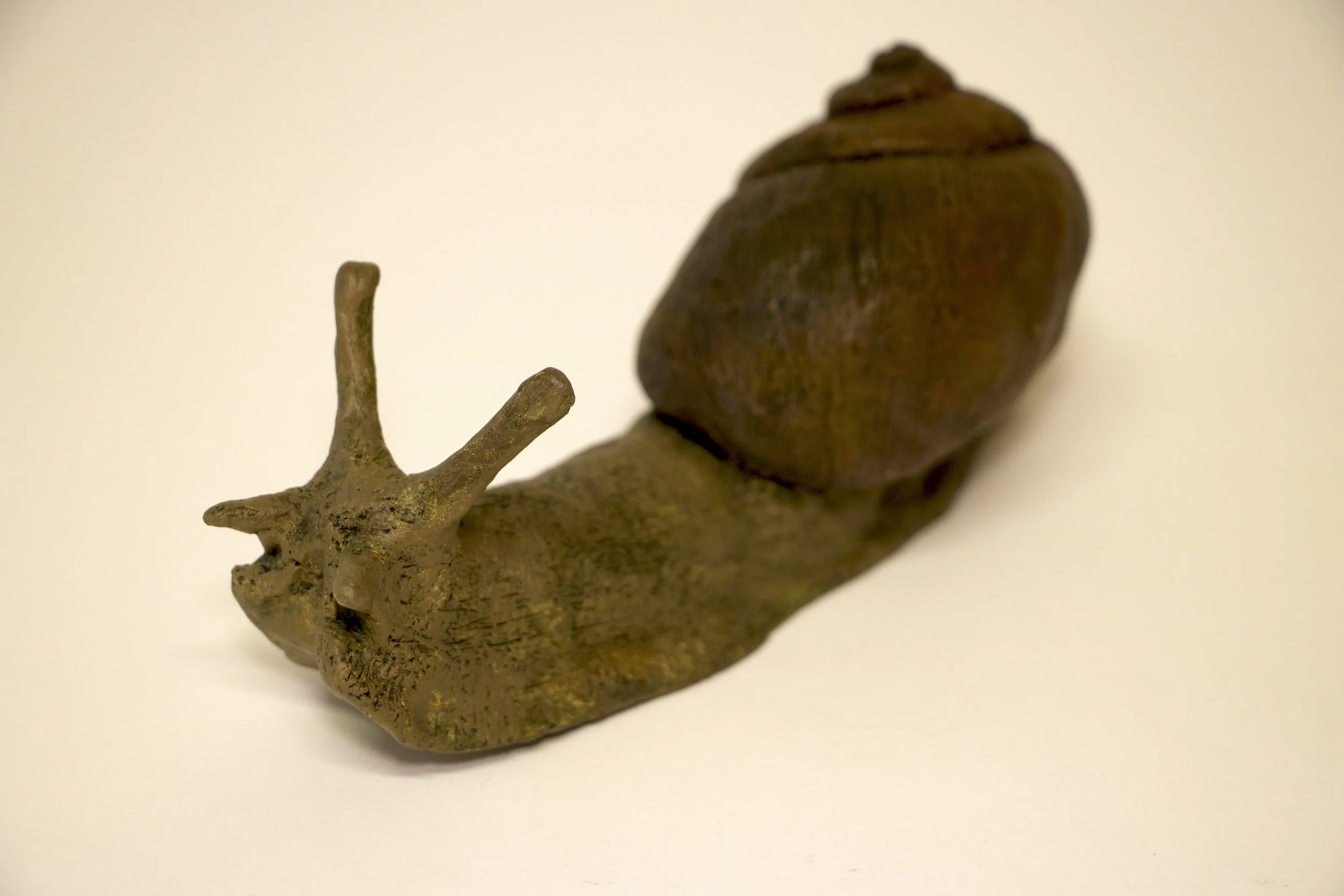 Snail 4.jpg