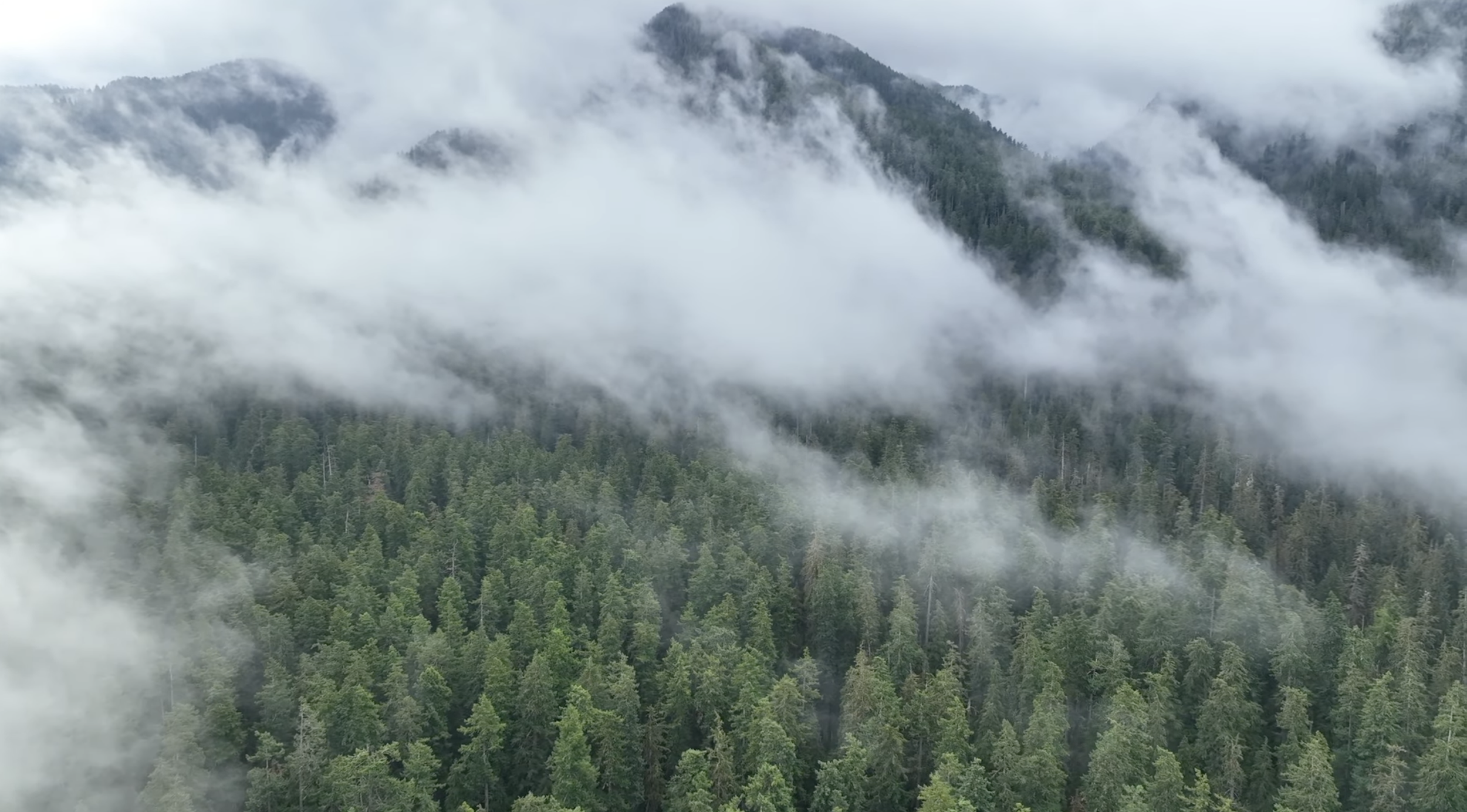 Screenshot 2026-02-13 at 2.55.26 PM.png