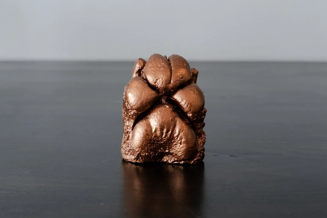 Image of a plaster casting of a dog's paw finished in bronze