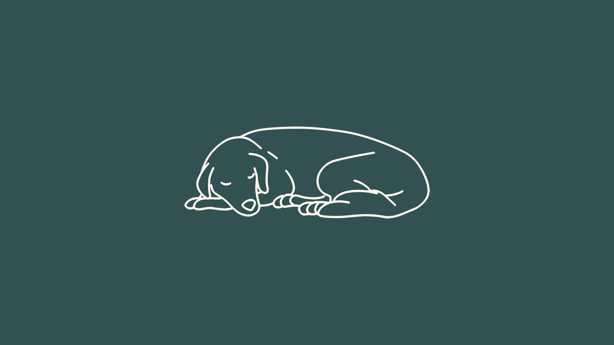 After Death Care Guide for Pets