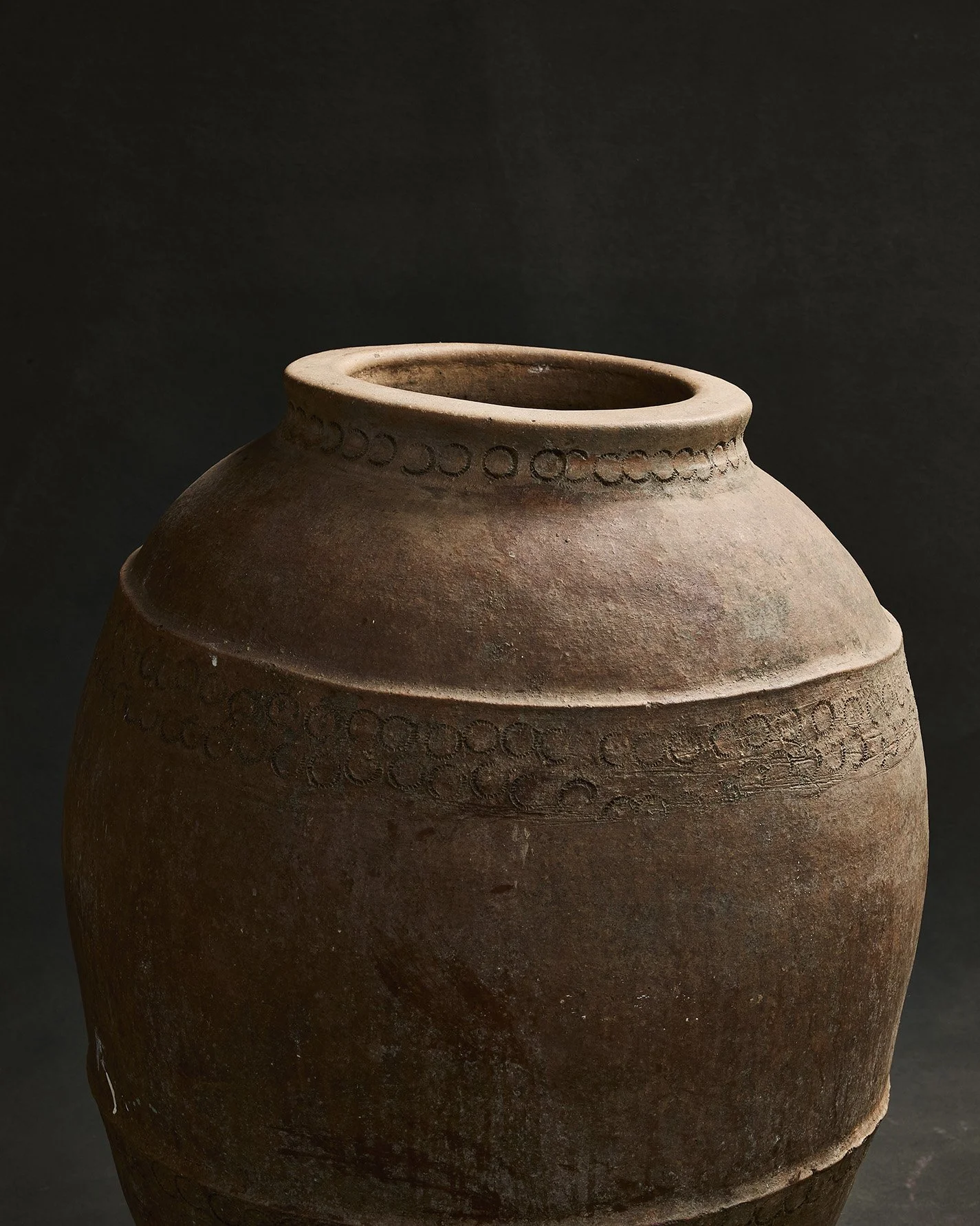 1099-2025-11-05 - HausPlantEcom0943.jpg