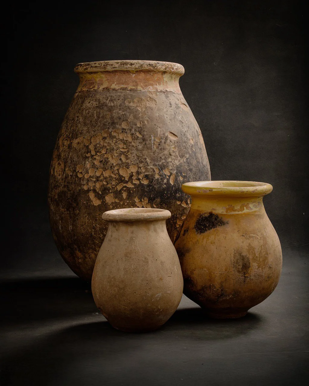 1143-2025-11-05 - HausPlantEcom0757 Large.jpeg