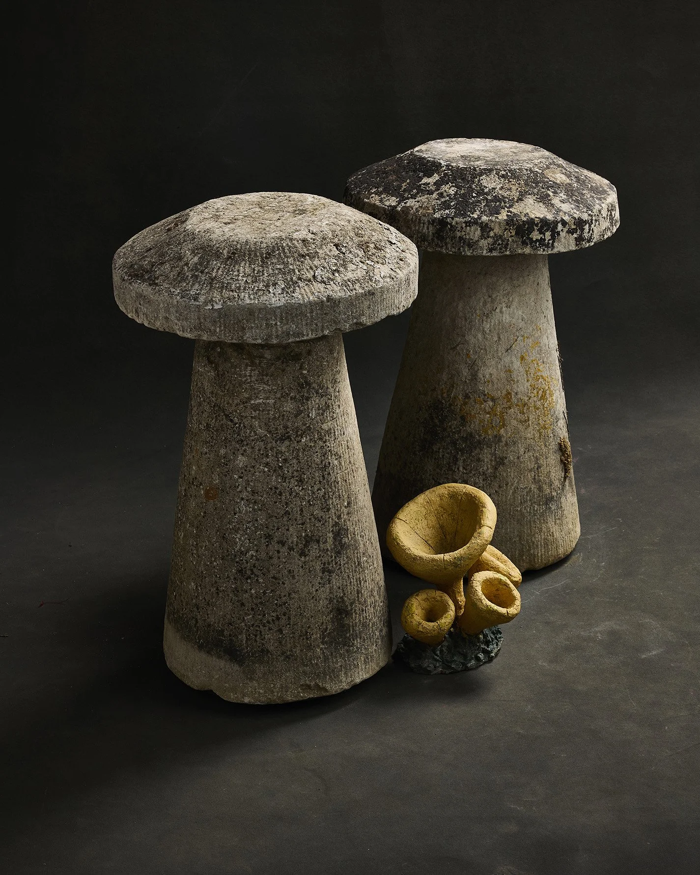 1132-2025-11-05 - HausPlantEcom1041.jpg