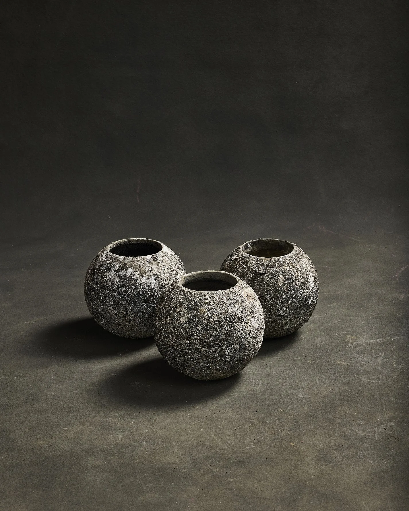 1251-2025-11-05 - HausPlantEcom1346.jpg