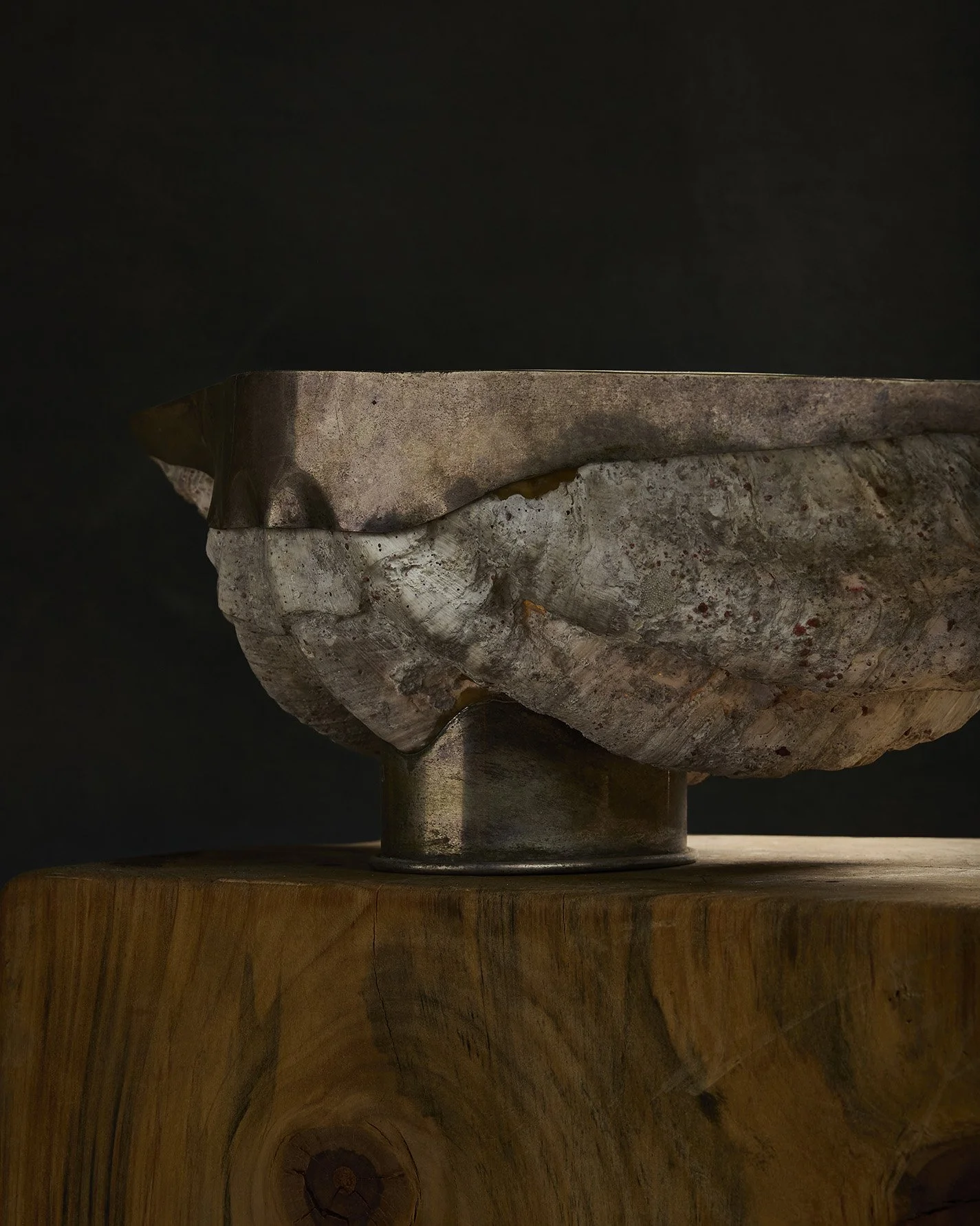 1269-2025-11-05 - HausPlantEcom1390.jpg