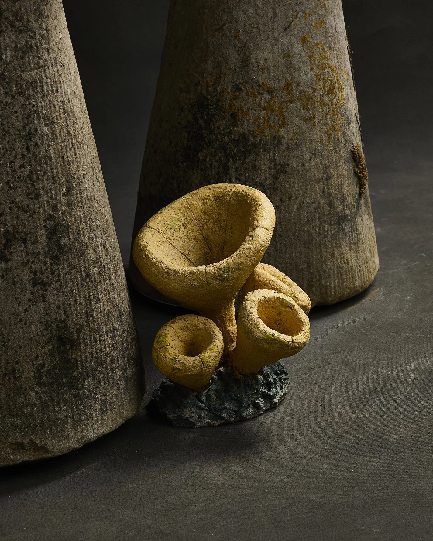 1133-2025-11-05 - HausPlantEcom1043.jpg