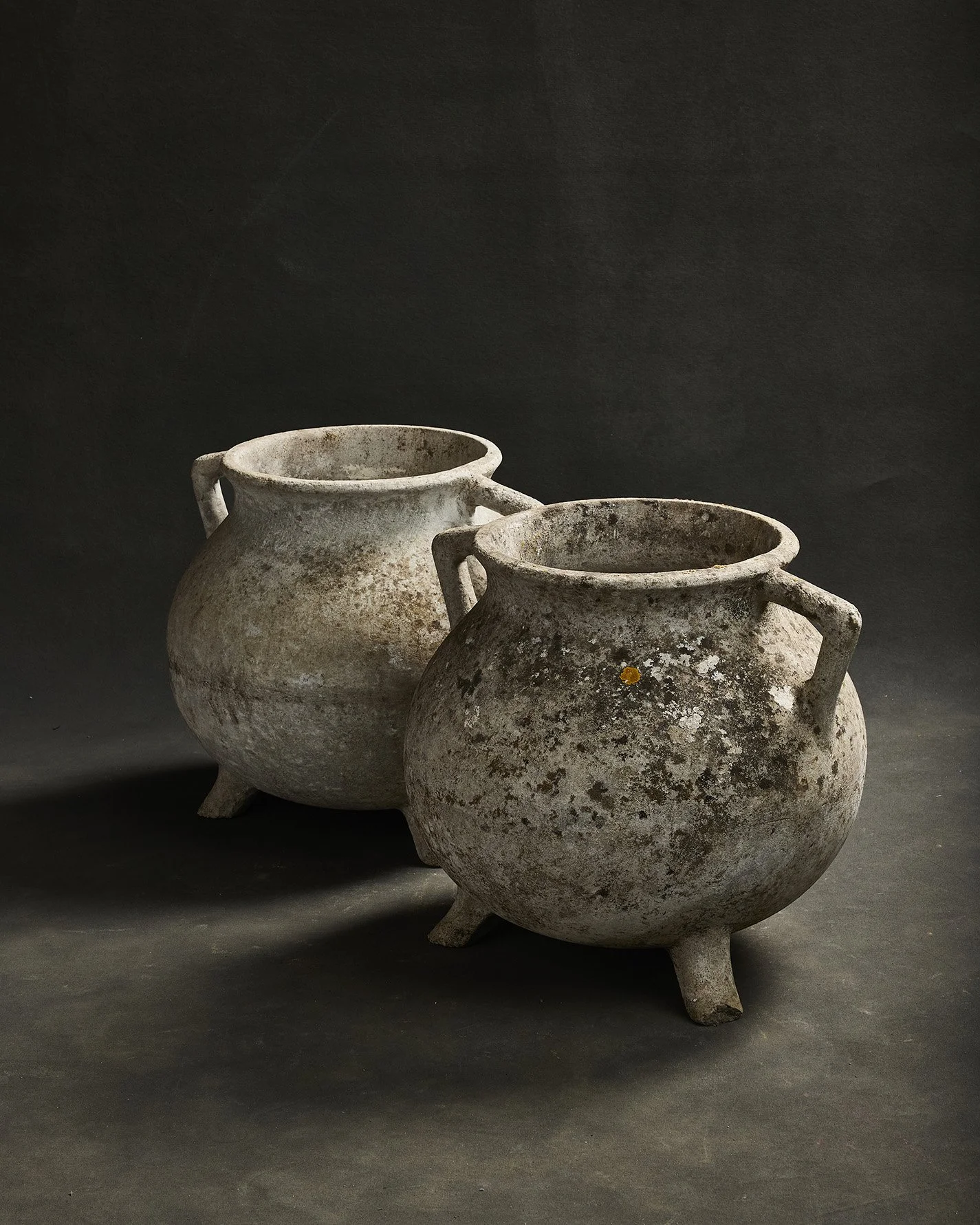 1245-2025-11-05 - HausPlantEcom1331.jpg