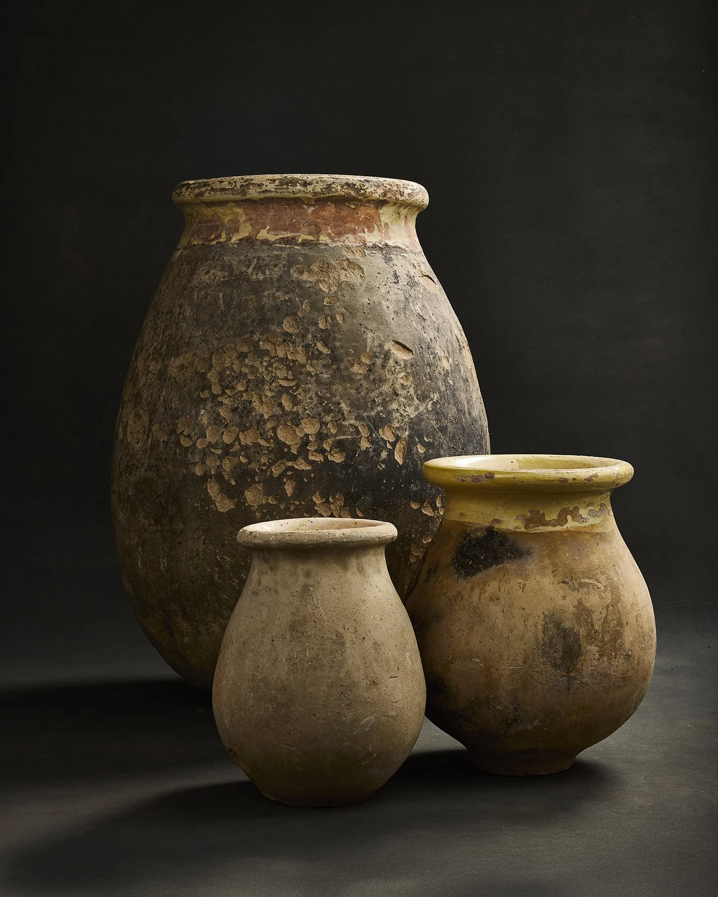 1039-2025-11-05 - HausPlantEcom0757.jpg