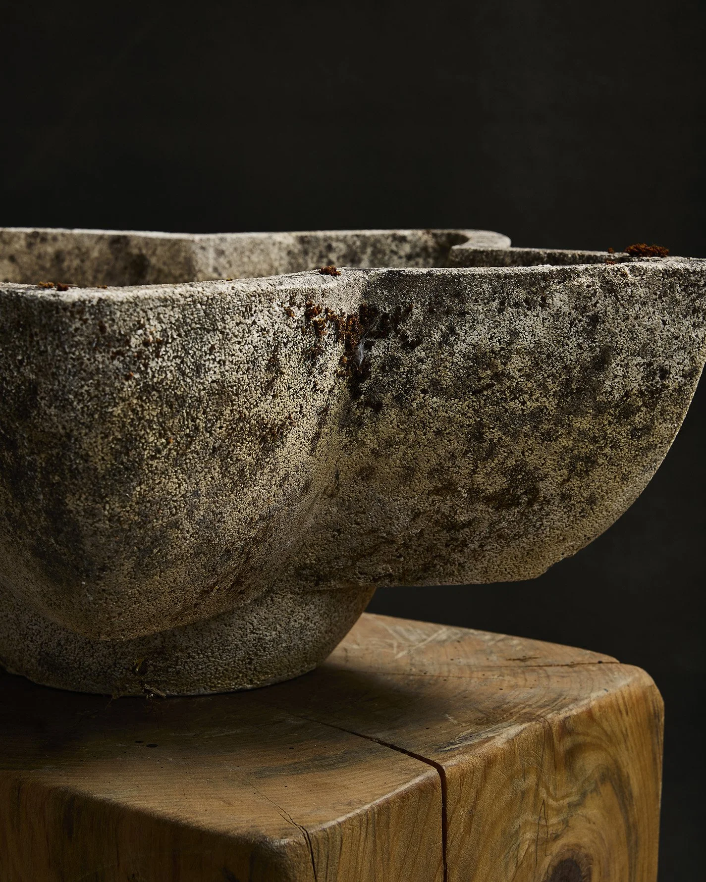 1274-2025-11-05 - HausPlantEcom1402.jpg