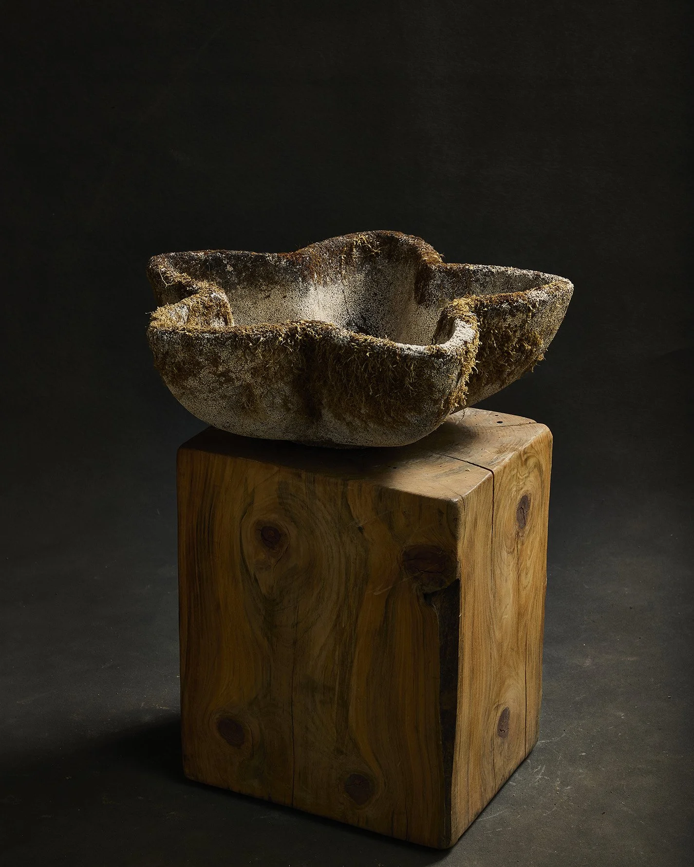 1276-2025-11-05 - HausPlantEcom1406.jpg