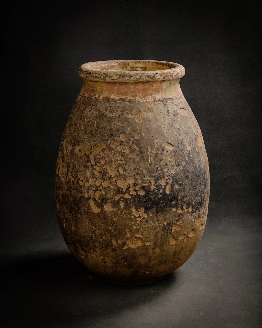 1126-2025-11-05 - HausPlantEcom0740 Large.jpeg