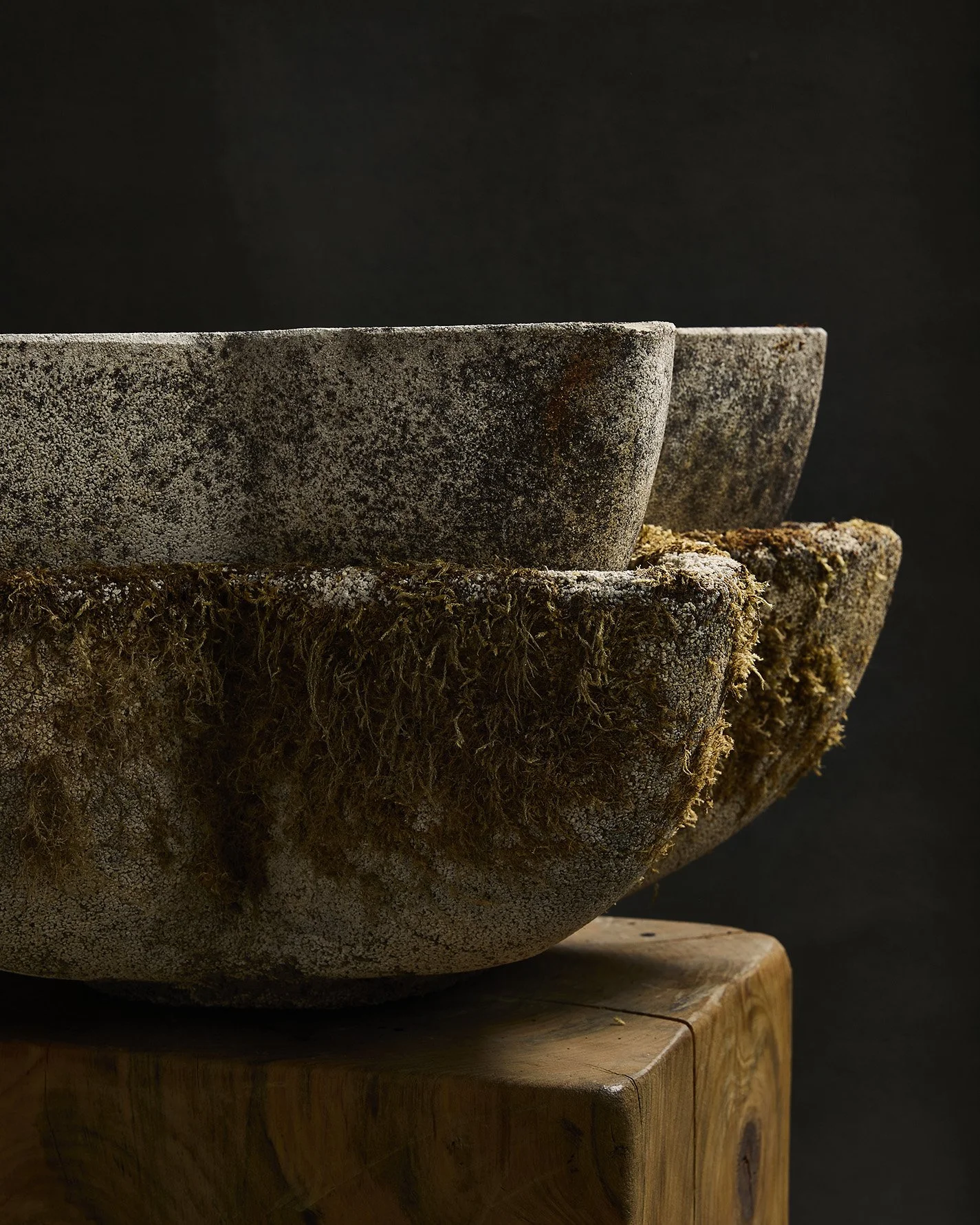 1279-2025-11-05 - HausPlantEcom1420.jpg