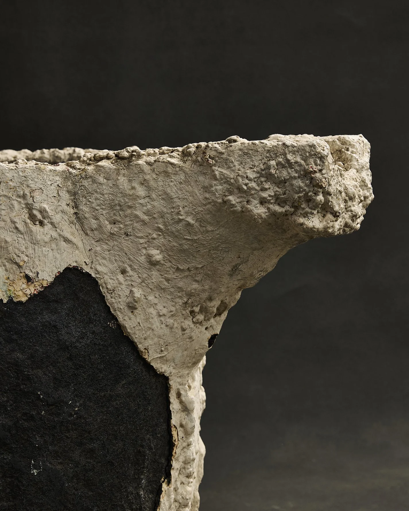 1107-2025-11-05 - HausPlantEcom0964.jpg