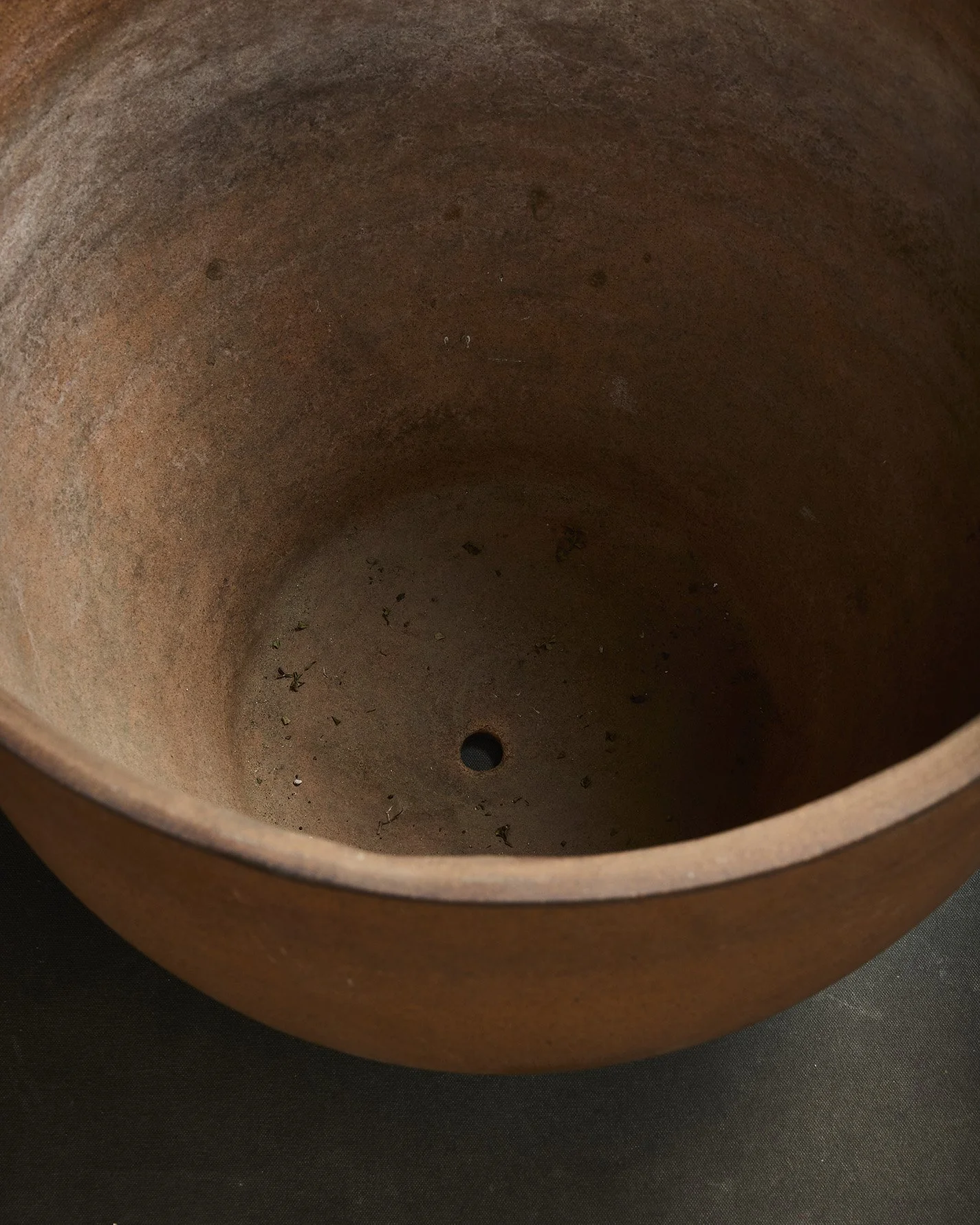 1022-2025-11-05 - HausPlantEcom0706.jpg