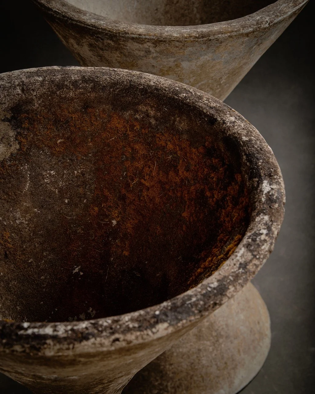 988-2025-11-05 - HausPlantEcom0602 Large.jpeg