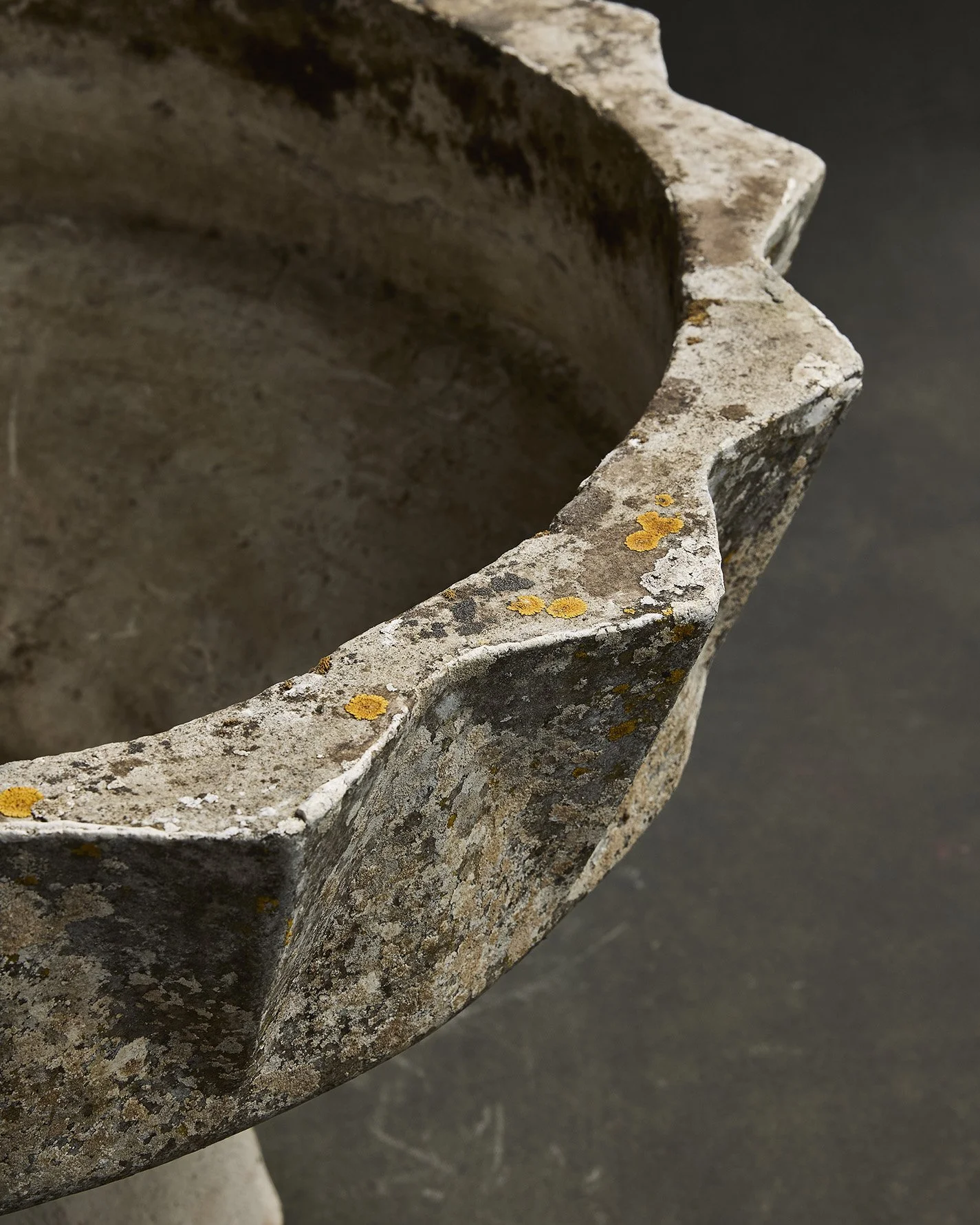 1149-2025-11-05 - HausPlantEcom1090.jpg