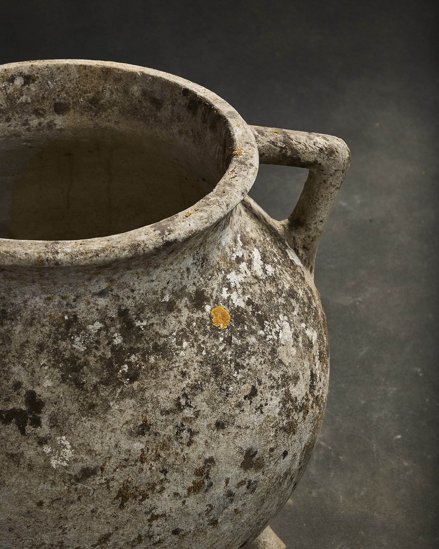 1242-2025-11-05 - HausPlantEcom1324.jpg