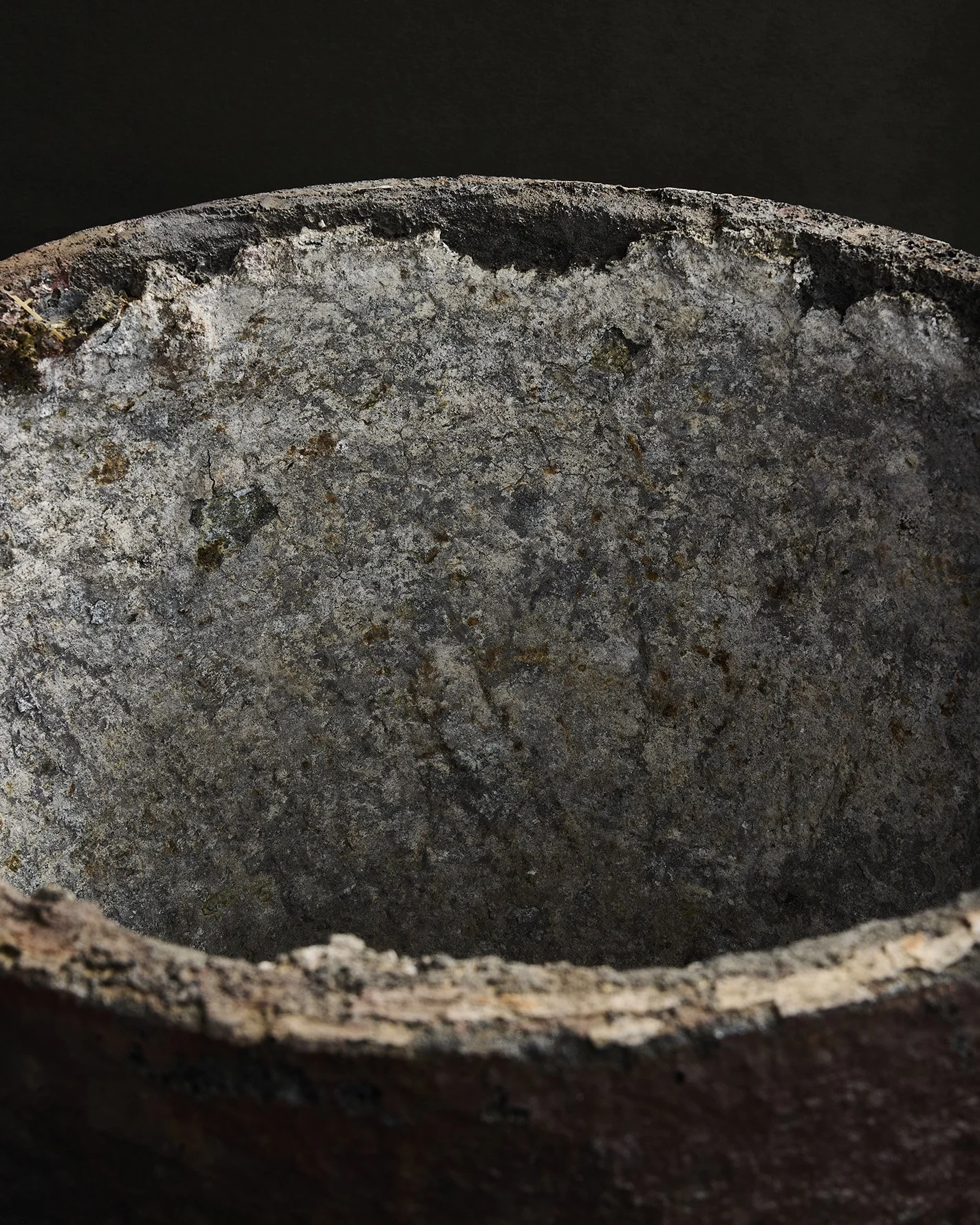 1060-2025-11-05 - HausPlantEcom0825.jpg