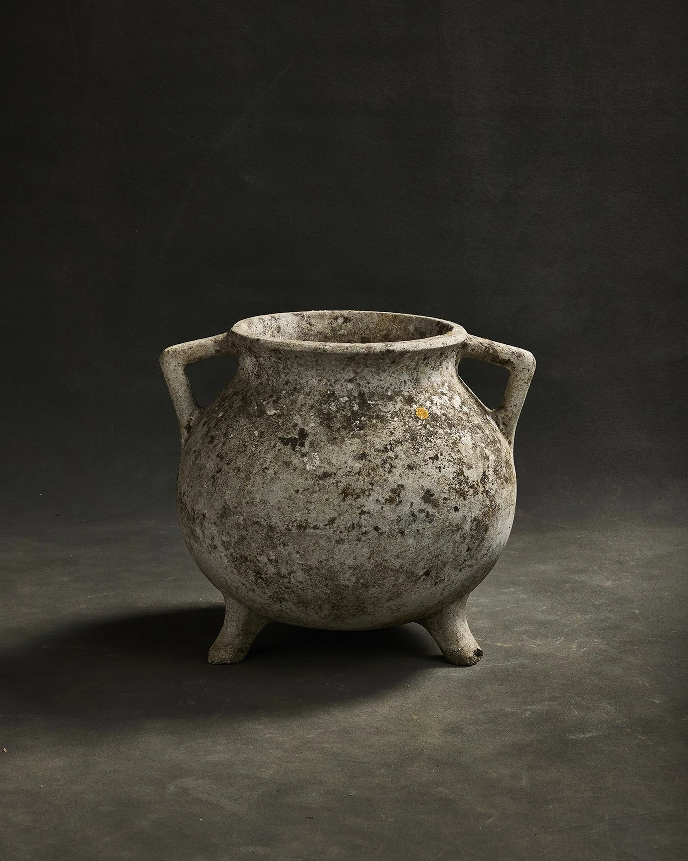 1241-2025-11-05 - HausPlantEcom1319.jpg