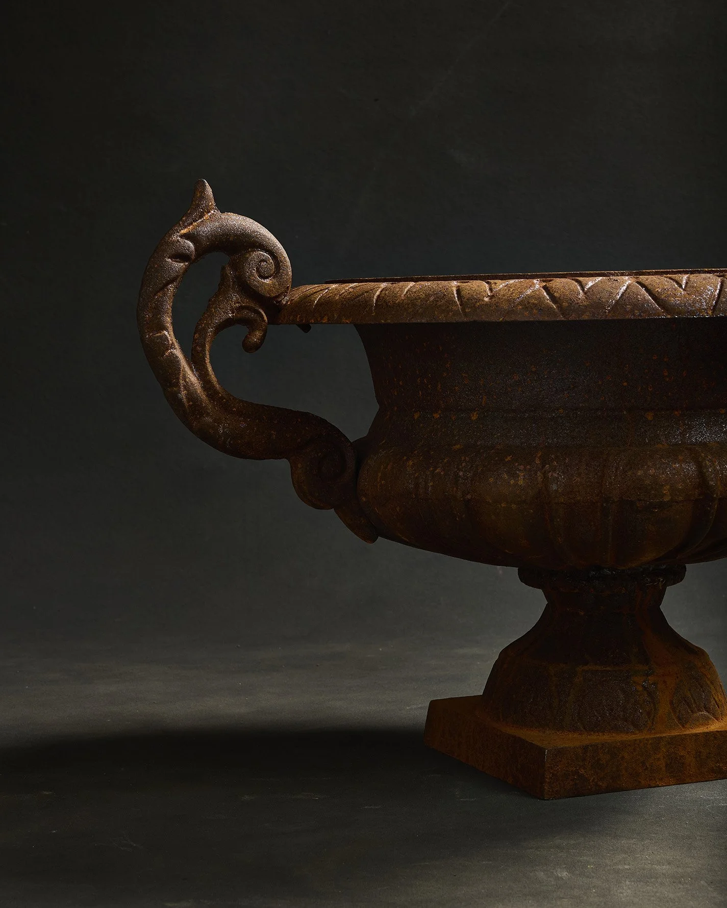 1223-2025-11-05 - HausPlantEcom1278.jpg