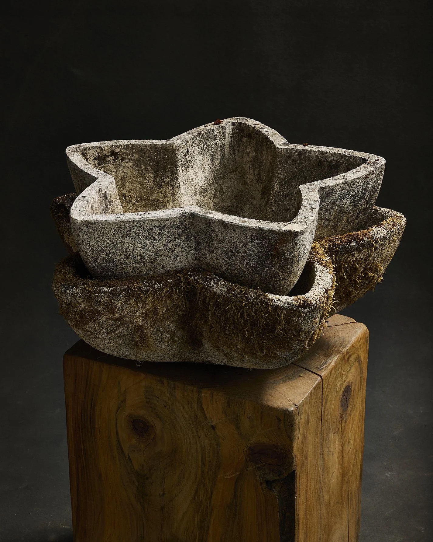 1278-2025-11-05 - HausPlantEcom1419.jpg