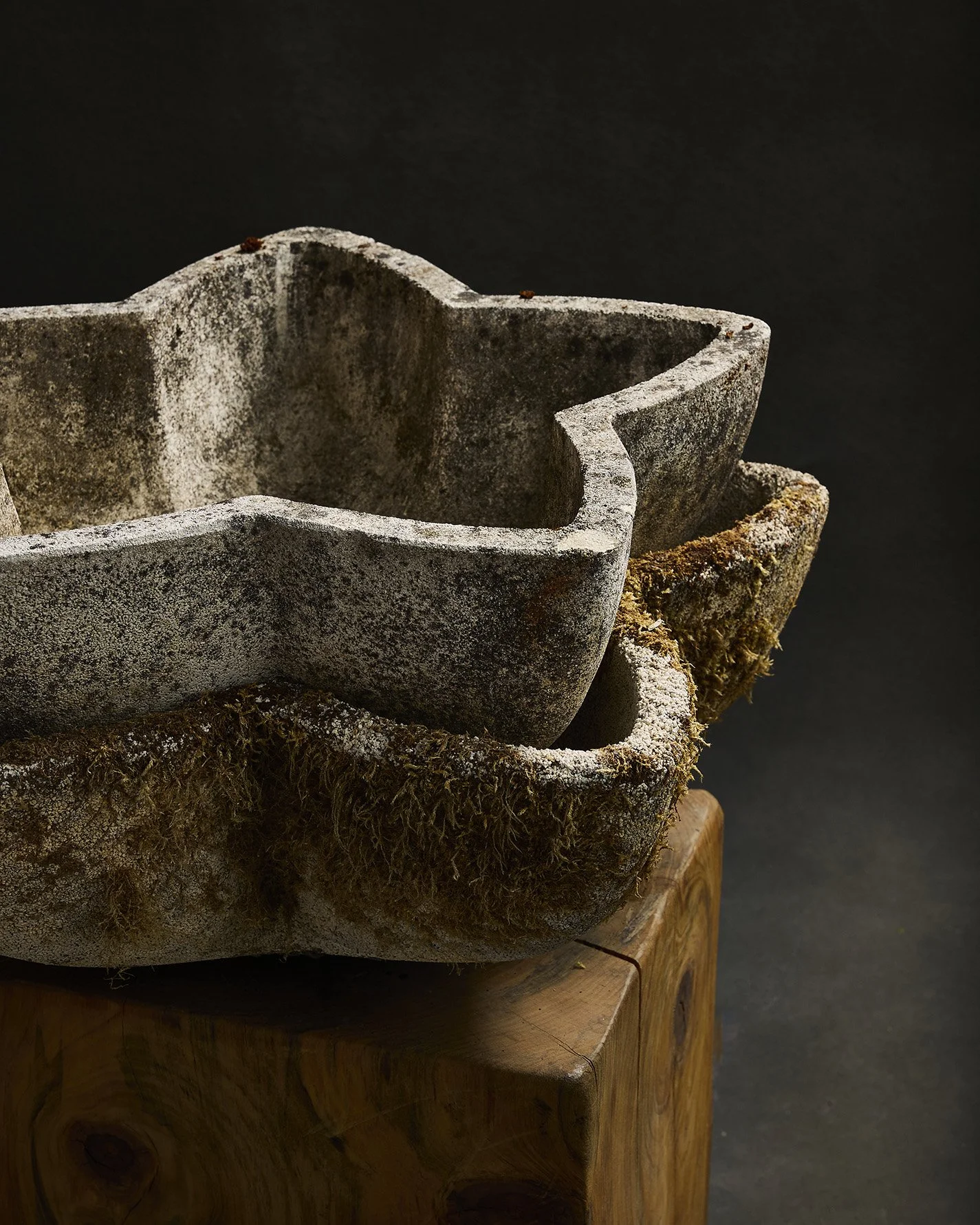 1280-2025-11-05 - HausPlantEcom1421.jpg