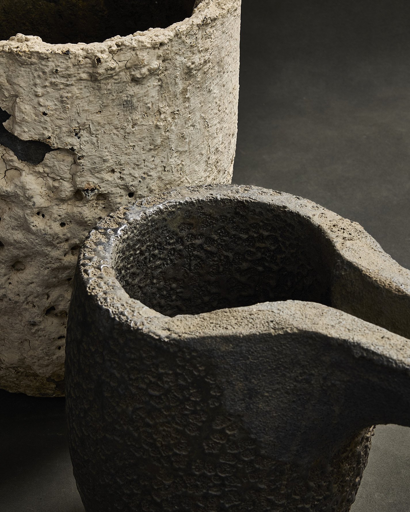 1115-2025-11-05 - HausPlantEcom0982.jpg