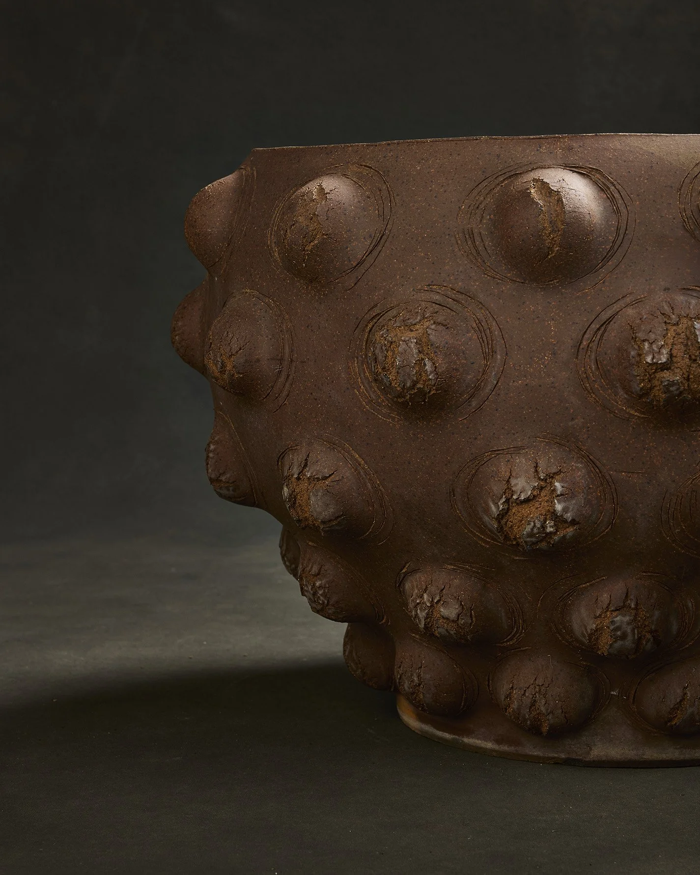 1010-2025-11-05 - HausPlantEcom0674.jpg