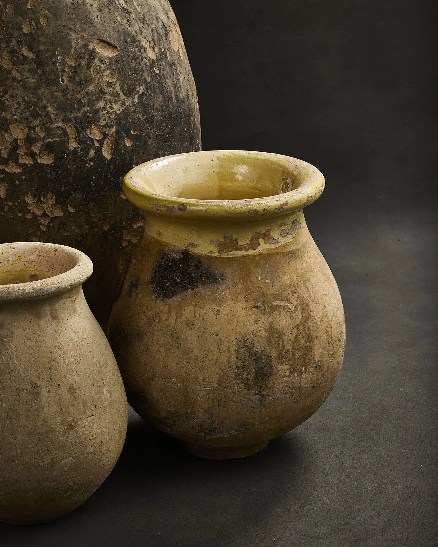 1040-2025-11-05 - HausPlantEcom0760.jpg