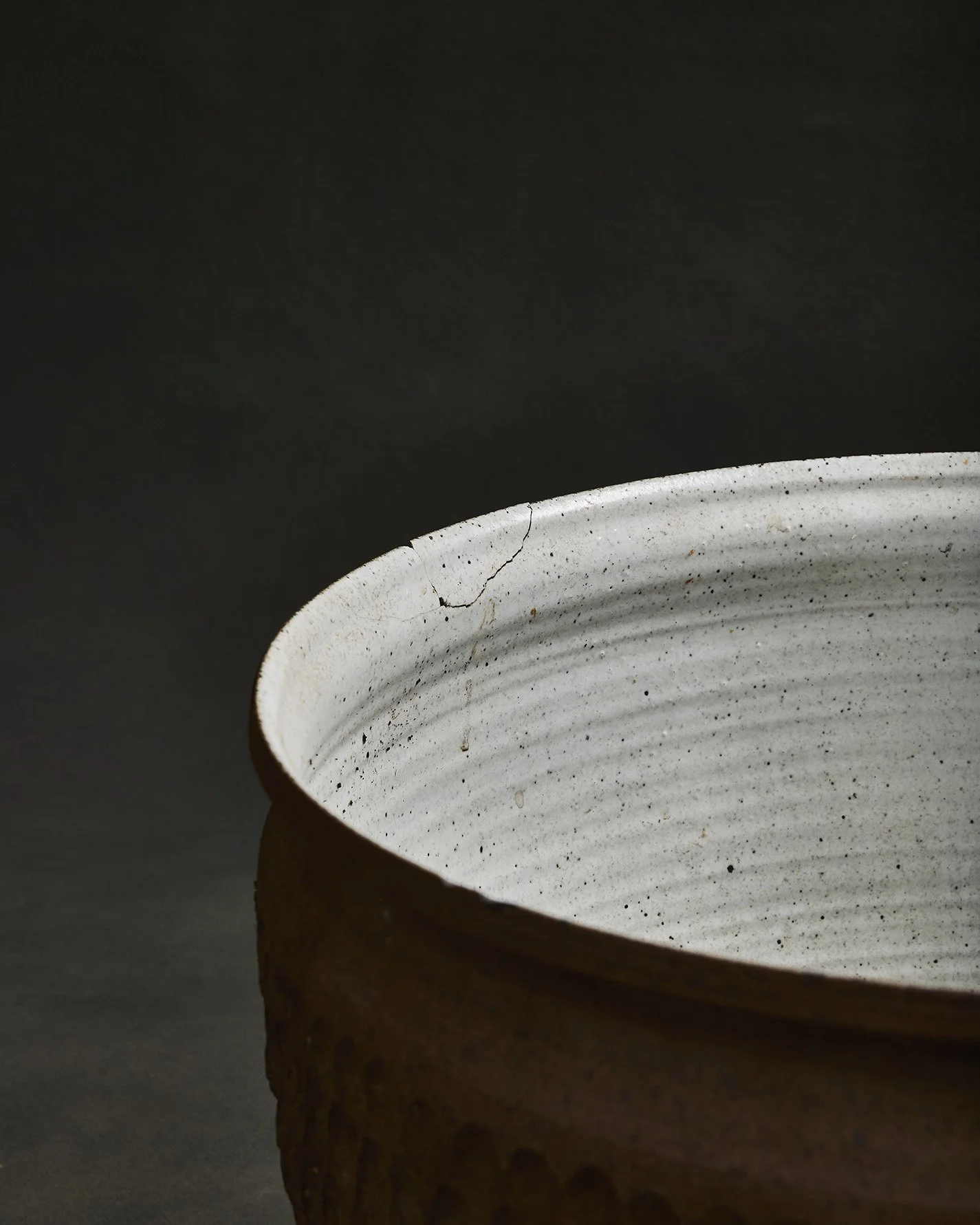 1231-2025-11-05 - HausPlantEcom1298.jpg