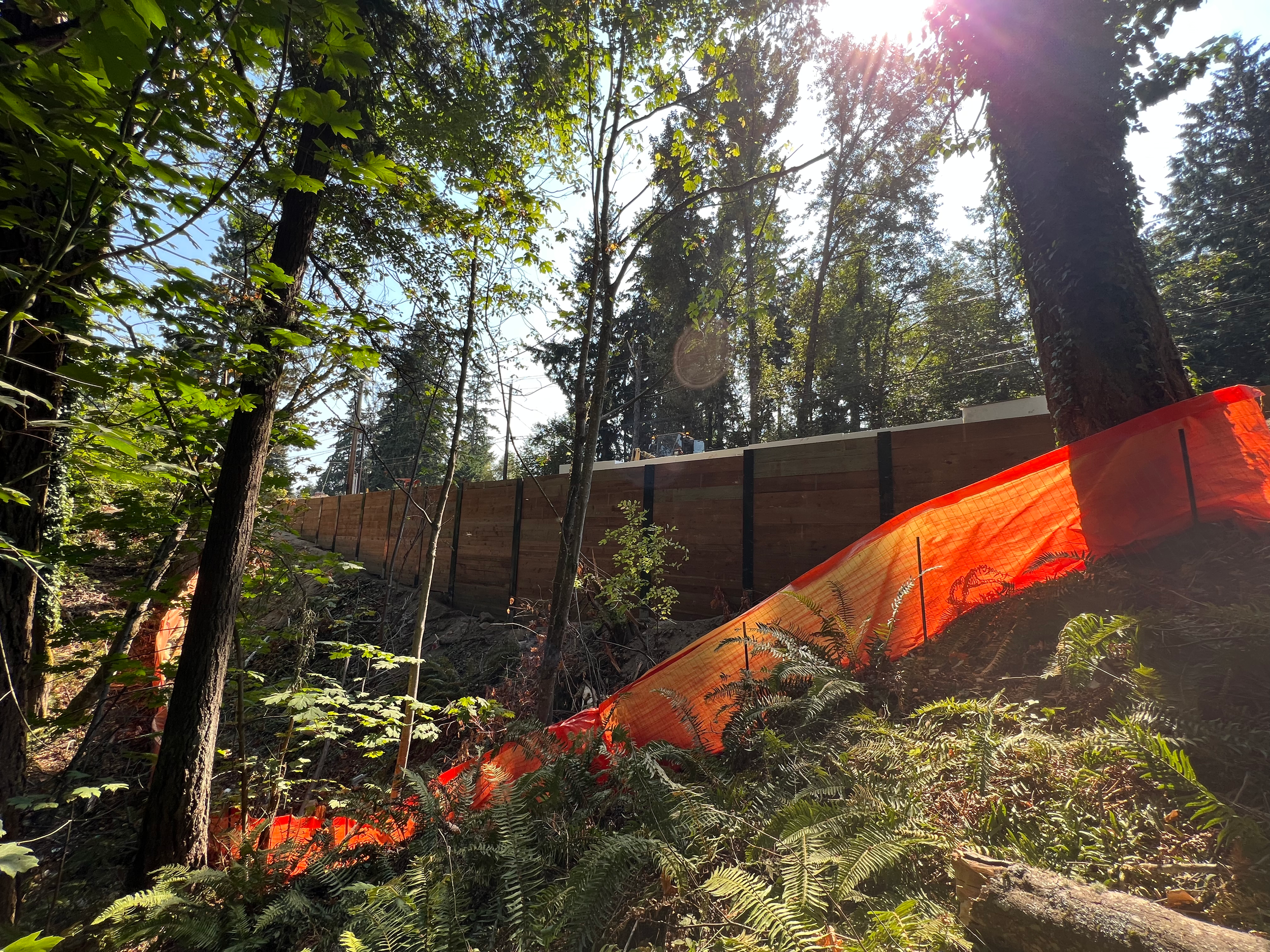 Soldier Piles | SE  May Creek Park Drive | RW Scott | New Castle, WA