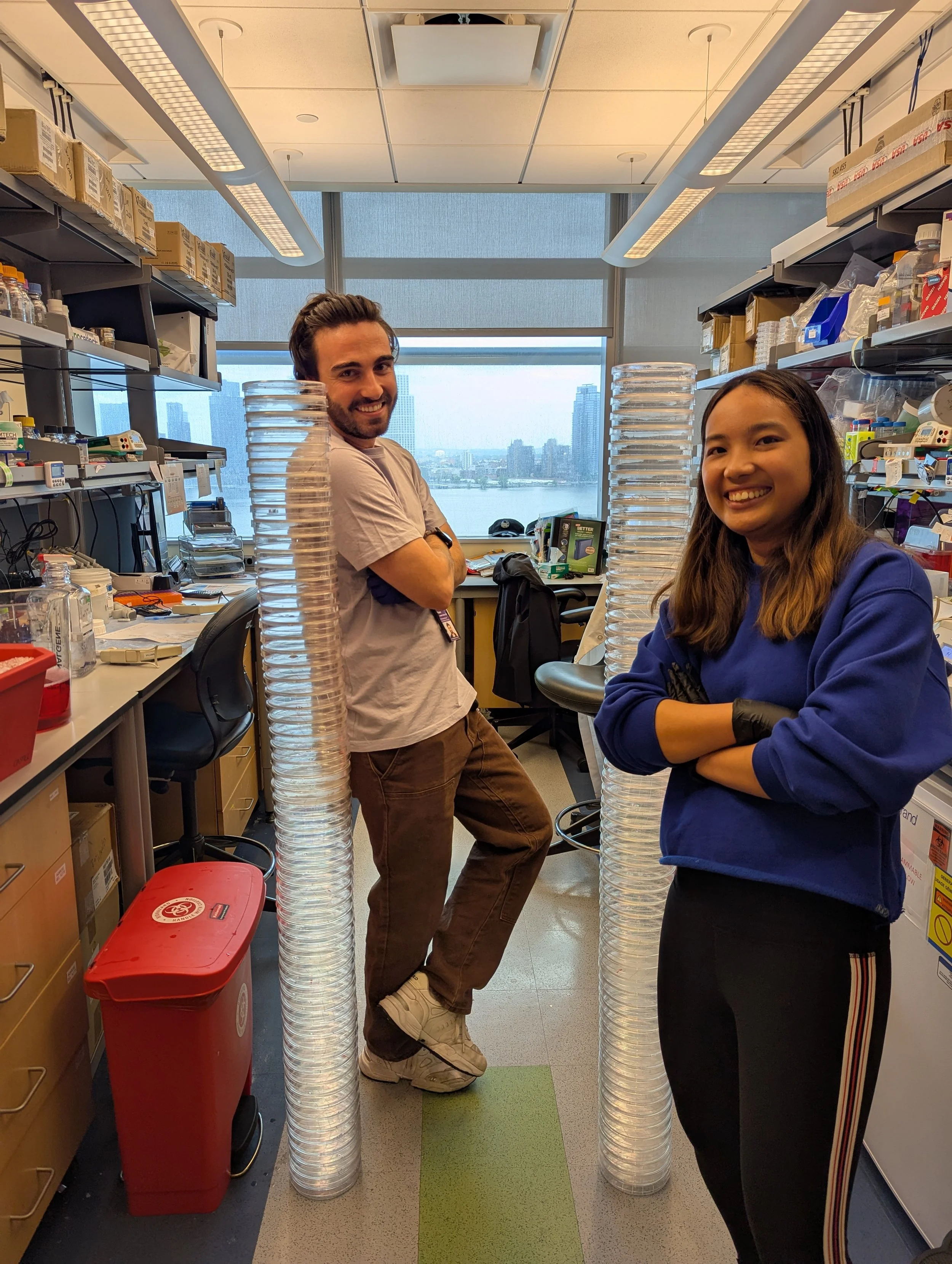 Alvaro and Sheena scraping cells from 100+ plates (it is unclear how Alvaro fit all of these plates in one incubator)