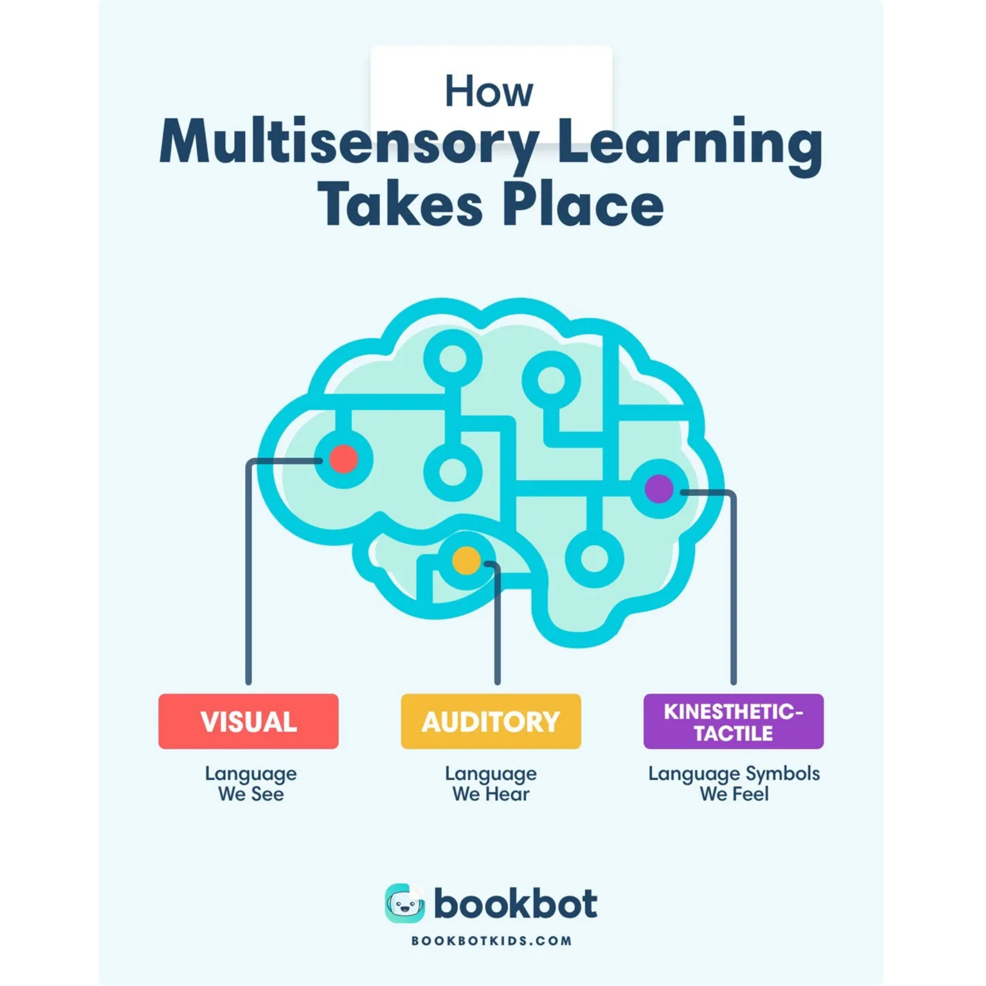 An infographic titled "How Multisensory Learning Takes Place" showing a stylized brain with interconnected colored circles representing different senses. The infographic indicates visual learning as "Language We See" in red, auditory learning as "Language We Hear" in yellow, and kinesthetic-tactile learning as "Language Symbols We Feel" in purple. The source is Bookbotkids.com.