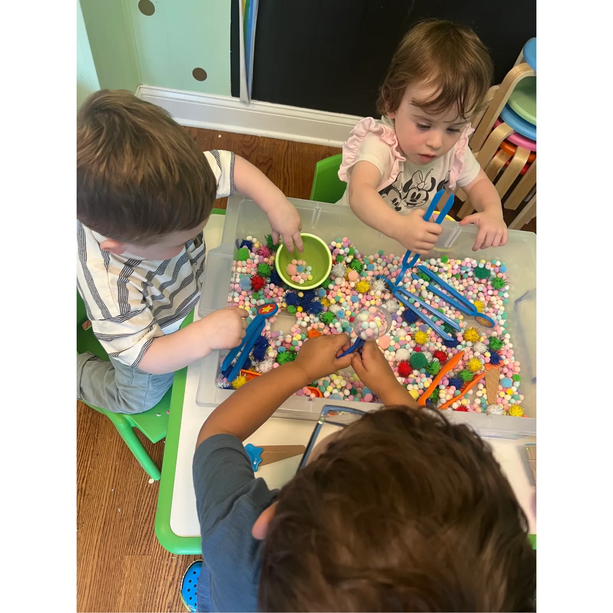 groups, education, new york