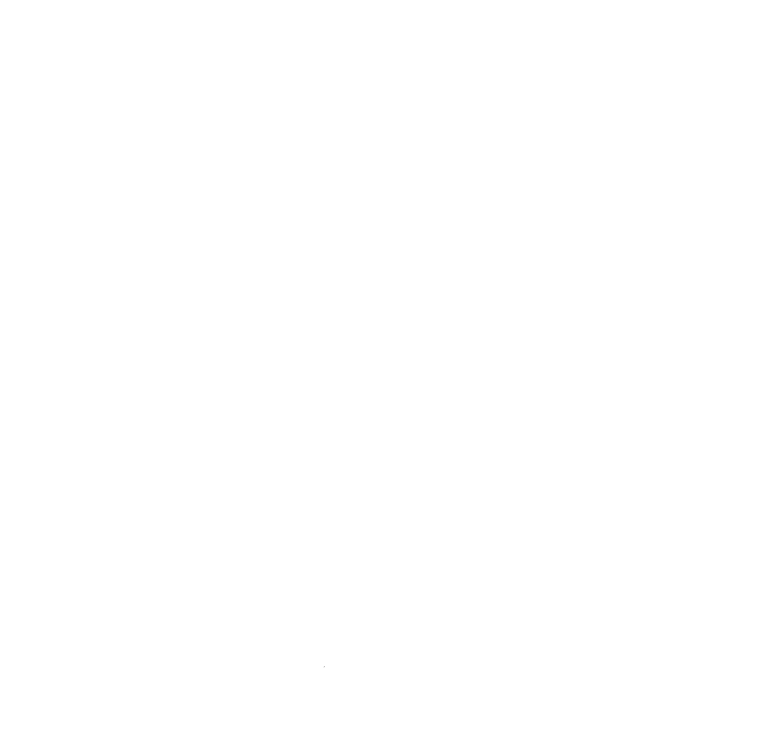 Yale Model United Nations Brasil