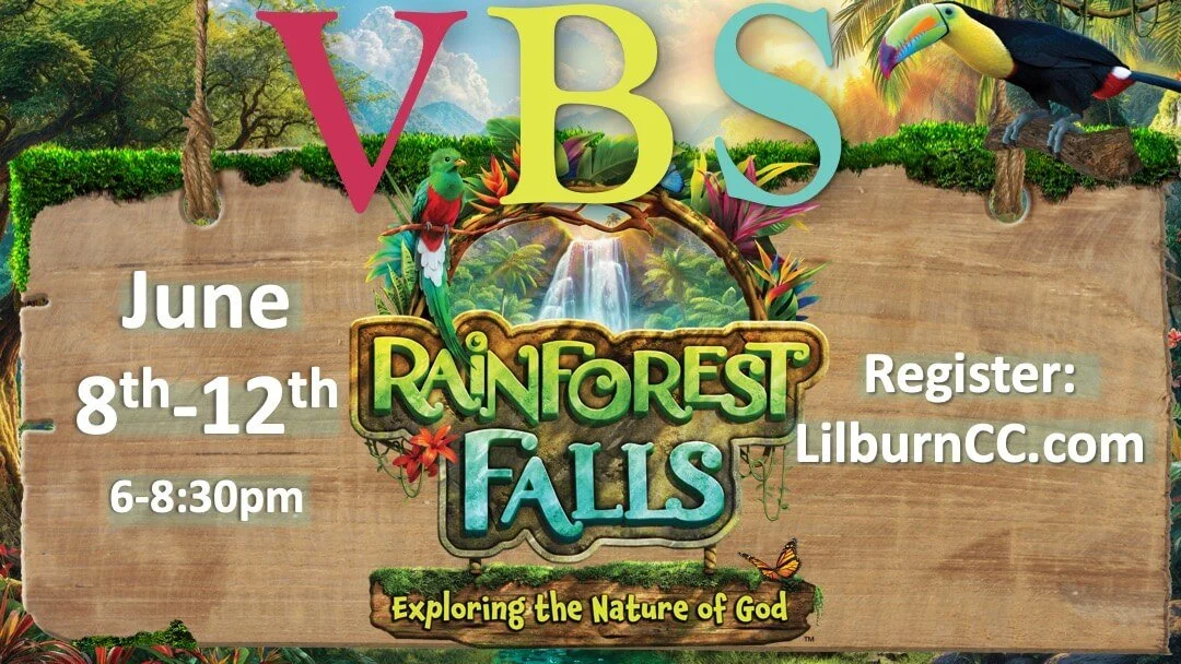Rainforest Falls - VBS 2026