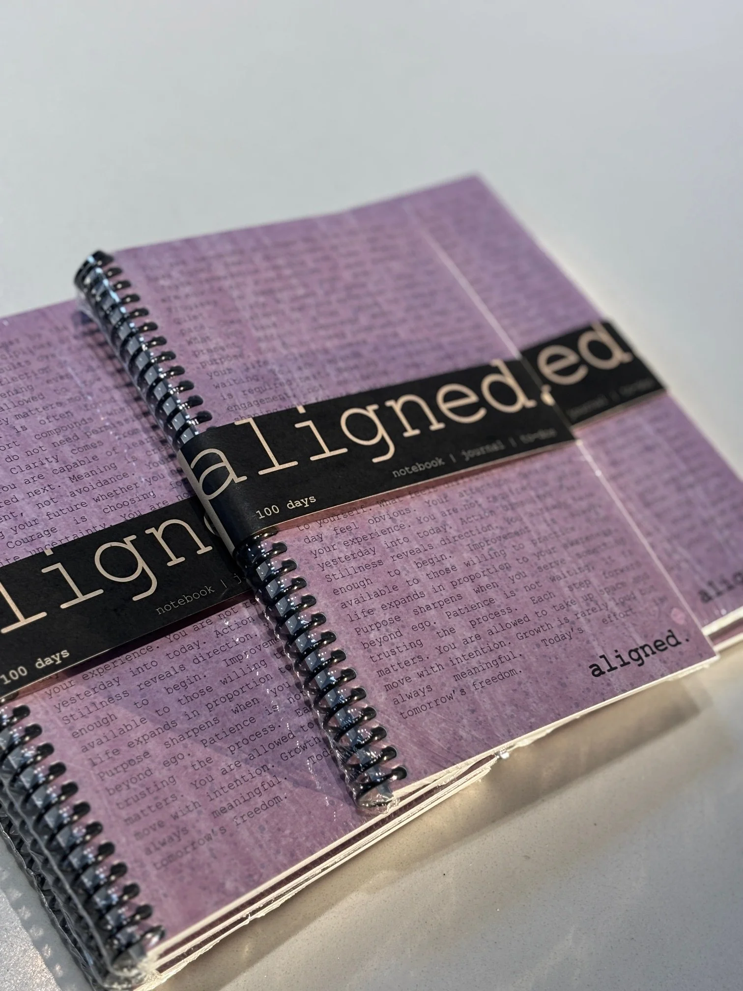 Aligned 100 Page Notebook | Journal | To-dos