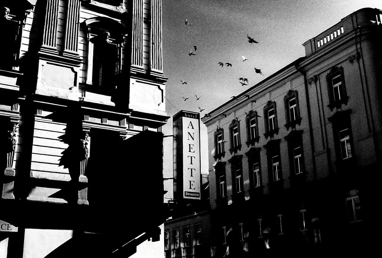 Black and white photo of old buildings with a sign for Hotel Anetté, and birds flying in the sky above.