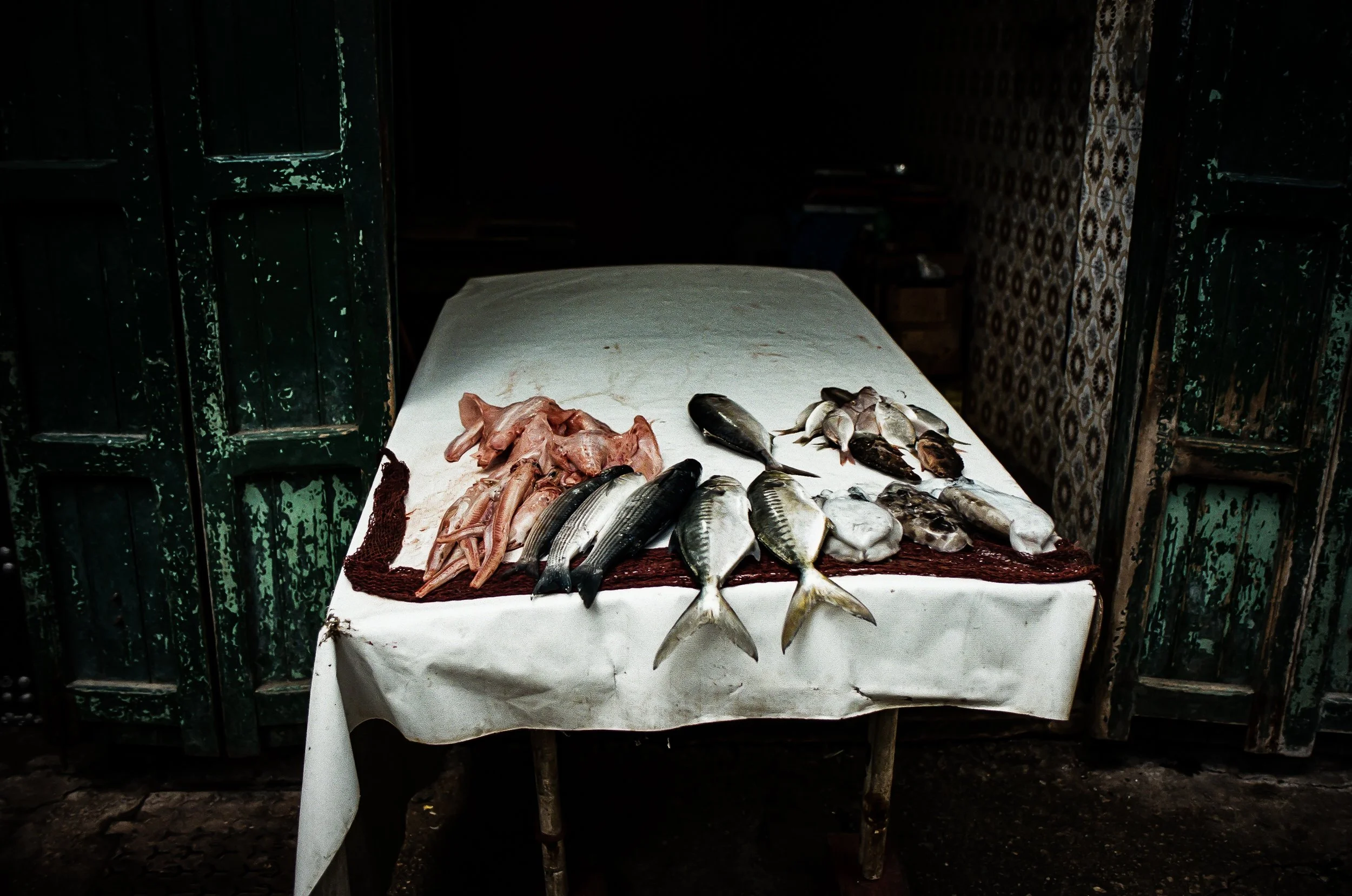 A table covered with a white cloth displaying various fresh fish and seafood, positioned in a dimly lit room with green wooden doors and decorative tiled wall.