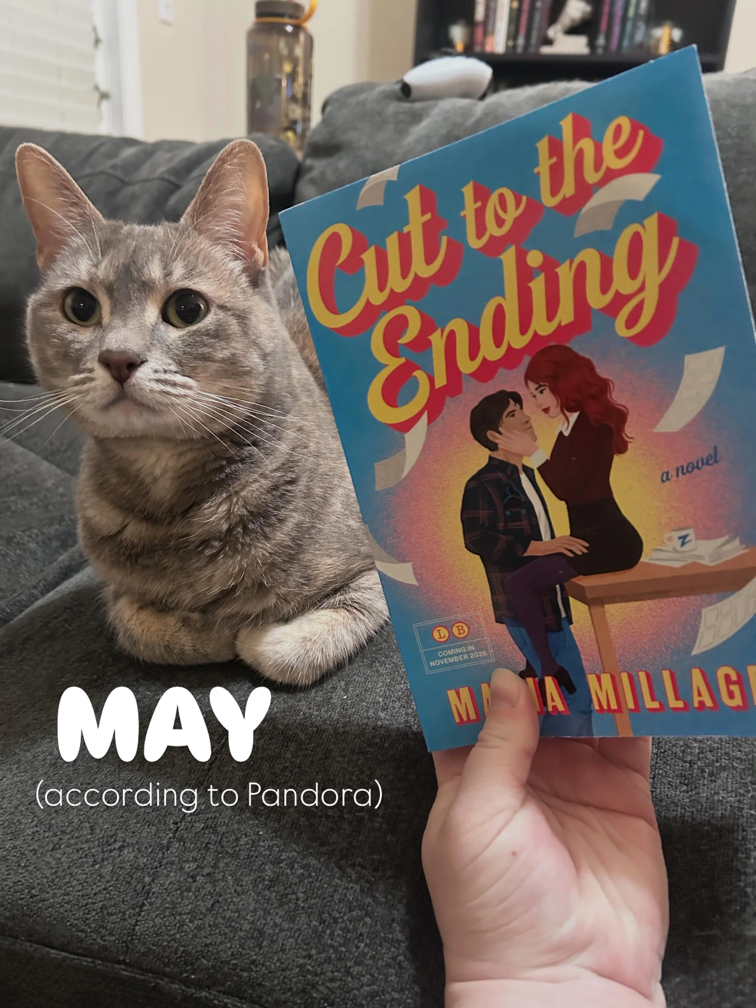 I spent most of May chained to my laptop so I have very few aesthetic pictures but many of my cat who, as usual, spent the month sleeping, screaming for food when dinner was five minutes late, and crashing Zoom meetings. Not a terribly bad life, tbh.