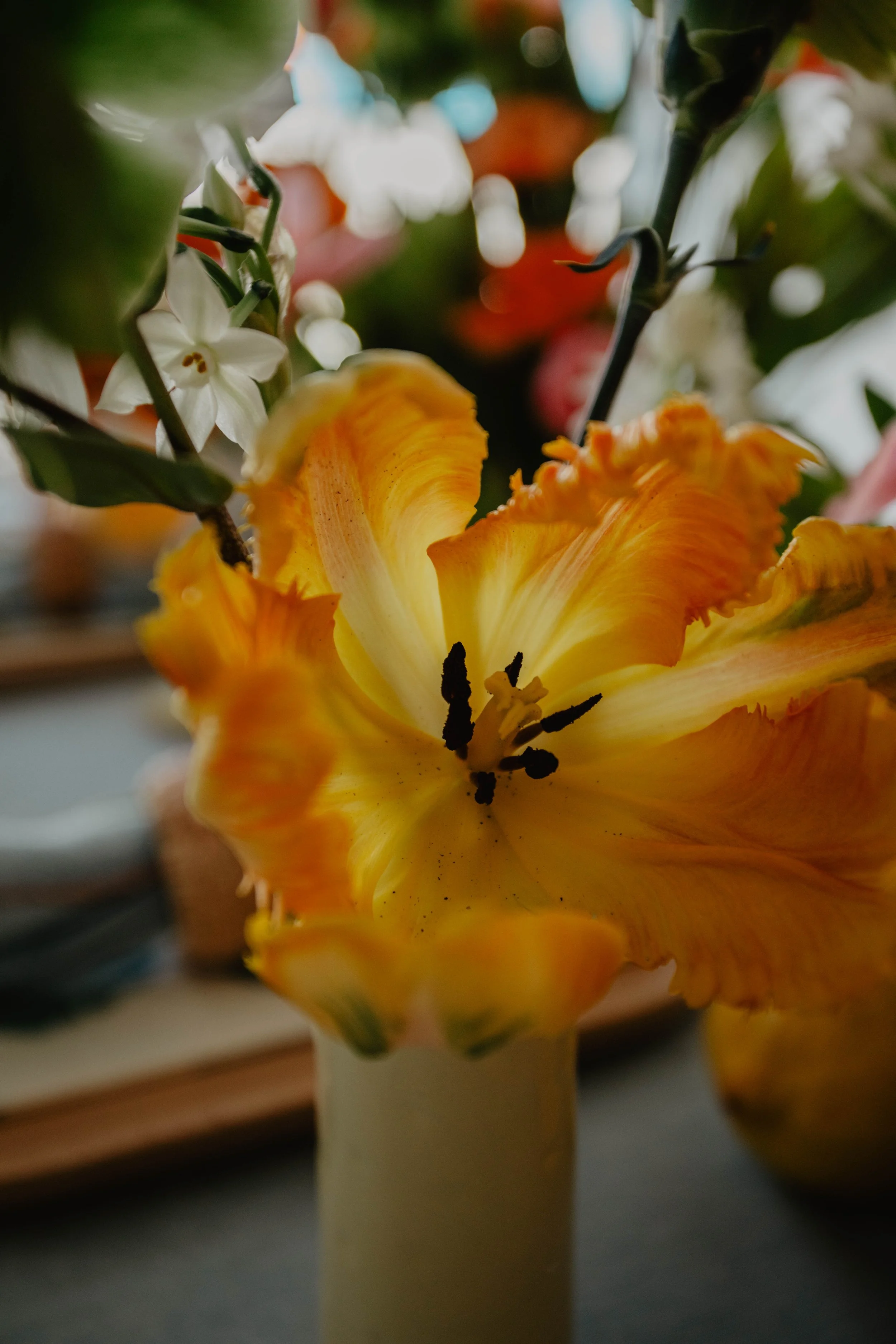 Close-up of a yellow-orange flower in a vase with dark center and ruffled petals, surrounded by green leaves and white blossoms.